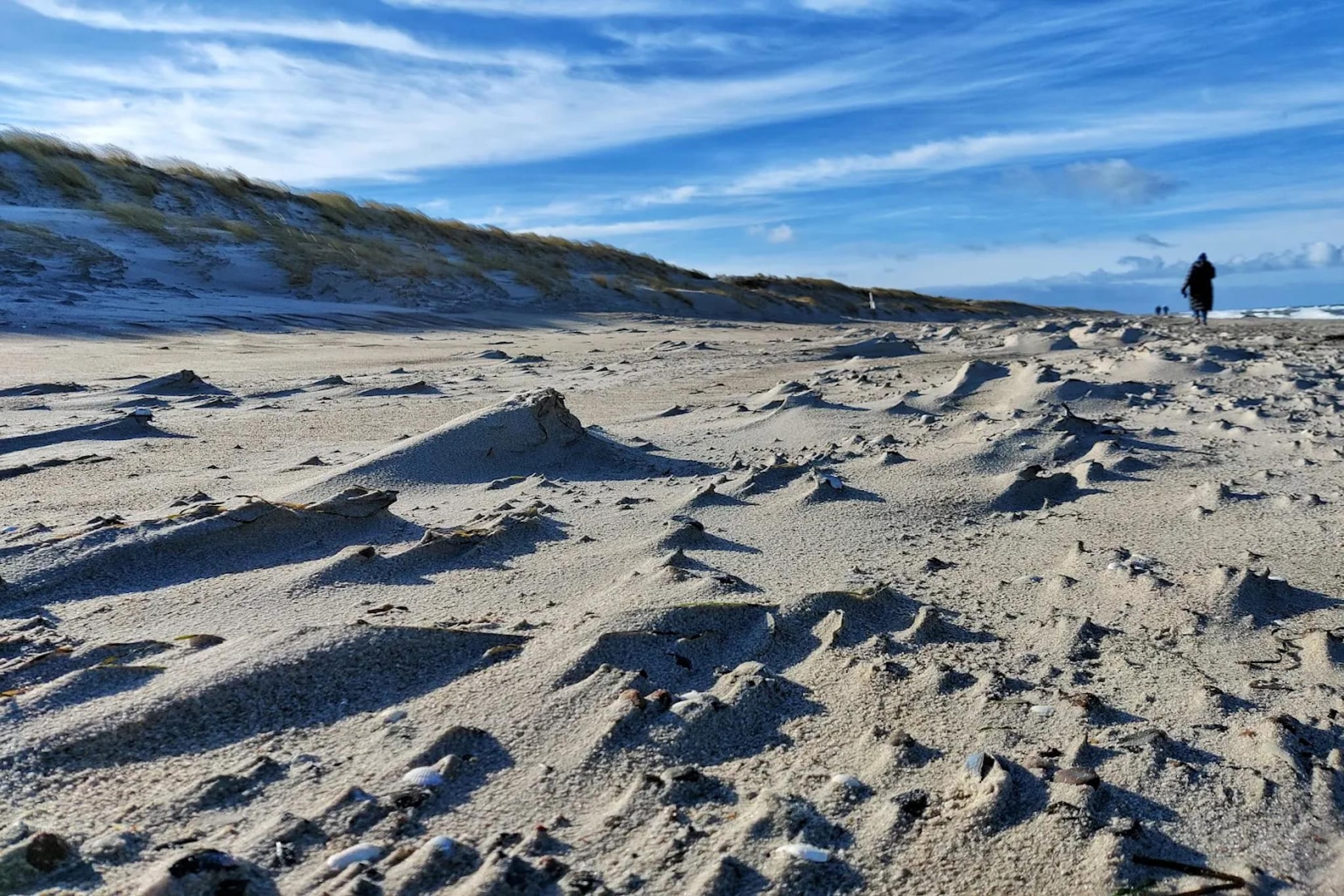 Ferienhaus Küstenwald klein - Strandhotel Fischland-Gebieden zomer 5km