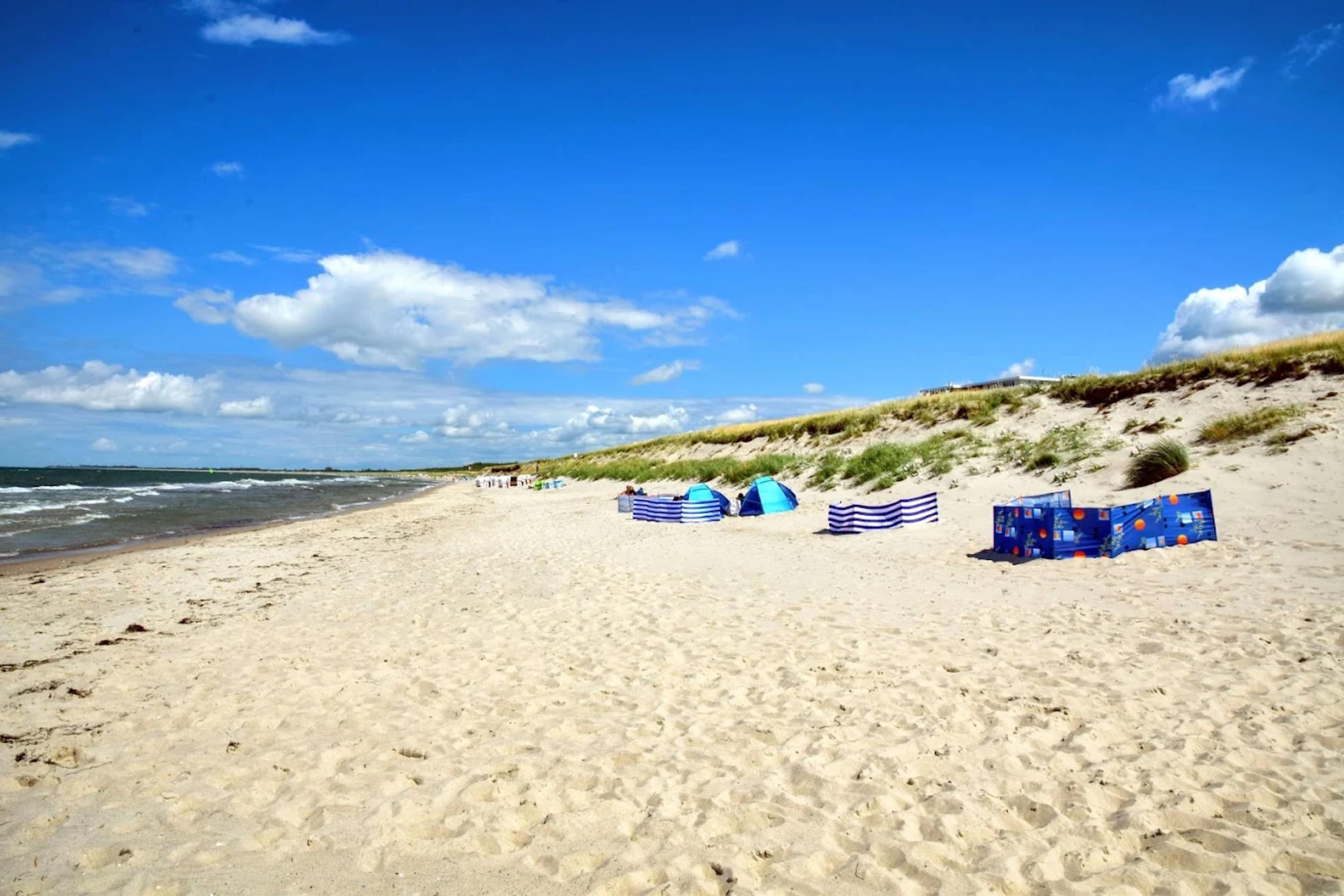 Ferienhaus Küstenwald klein - Strandhotel Fischland-Gebieden zomer 5km