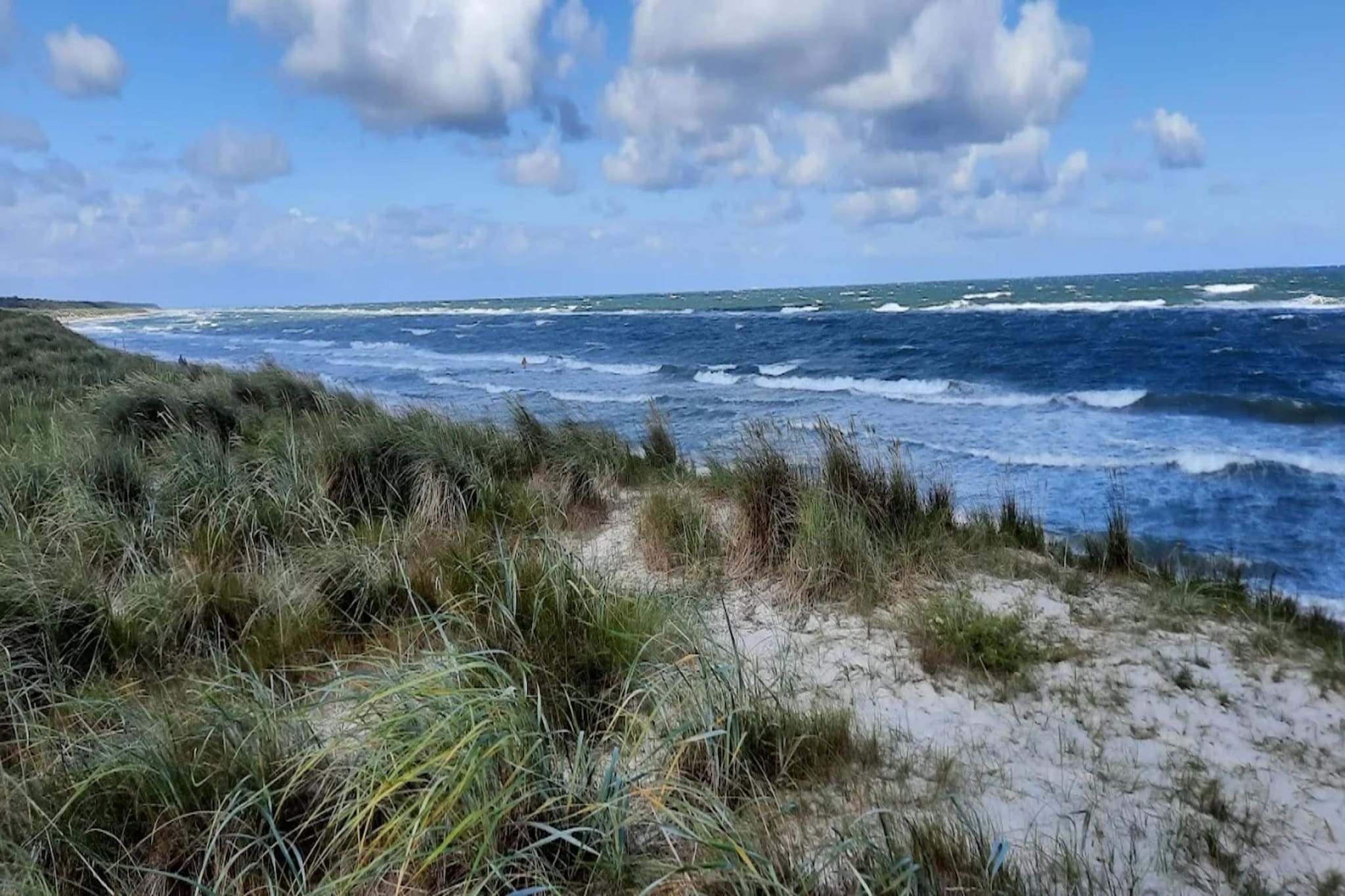Ferienhaus Küstenwald klein - Strandhotel Fischland-Gebieden zomer 5km