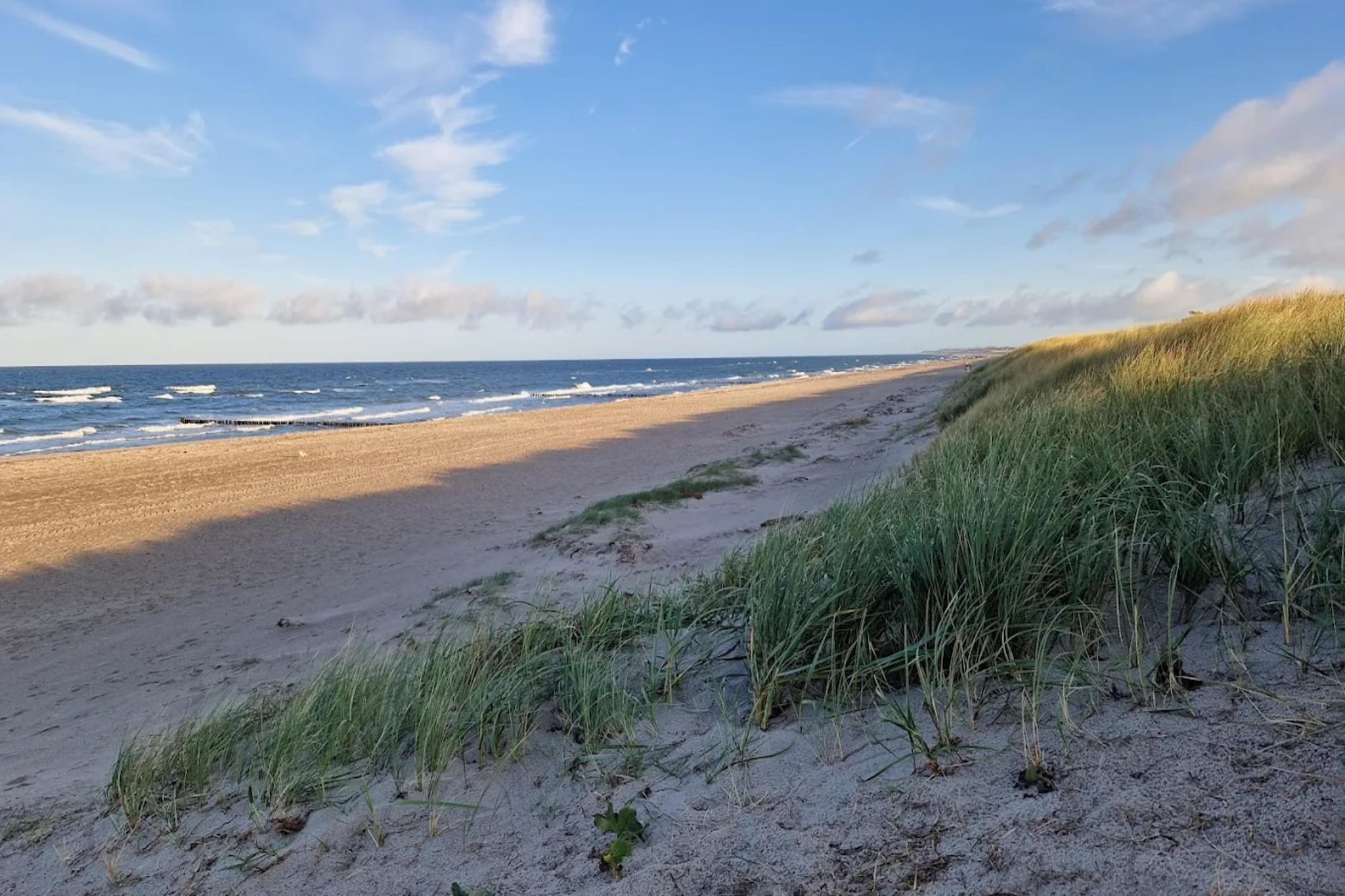 Ferienhaus Küstenwald klein - Strandhotel Fischland-Gebieden zomer 5km