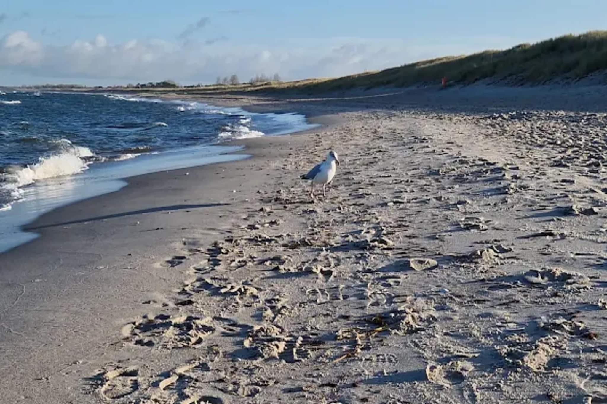 Dünenhaus 1Reihe - Strandhotel Dünenmeer-Gebieden zomer 1km