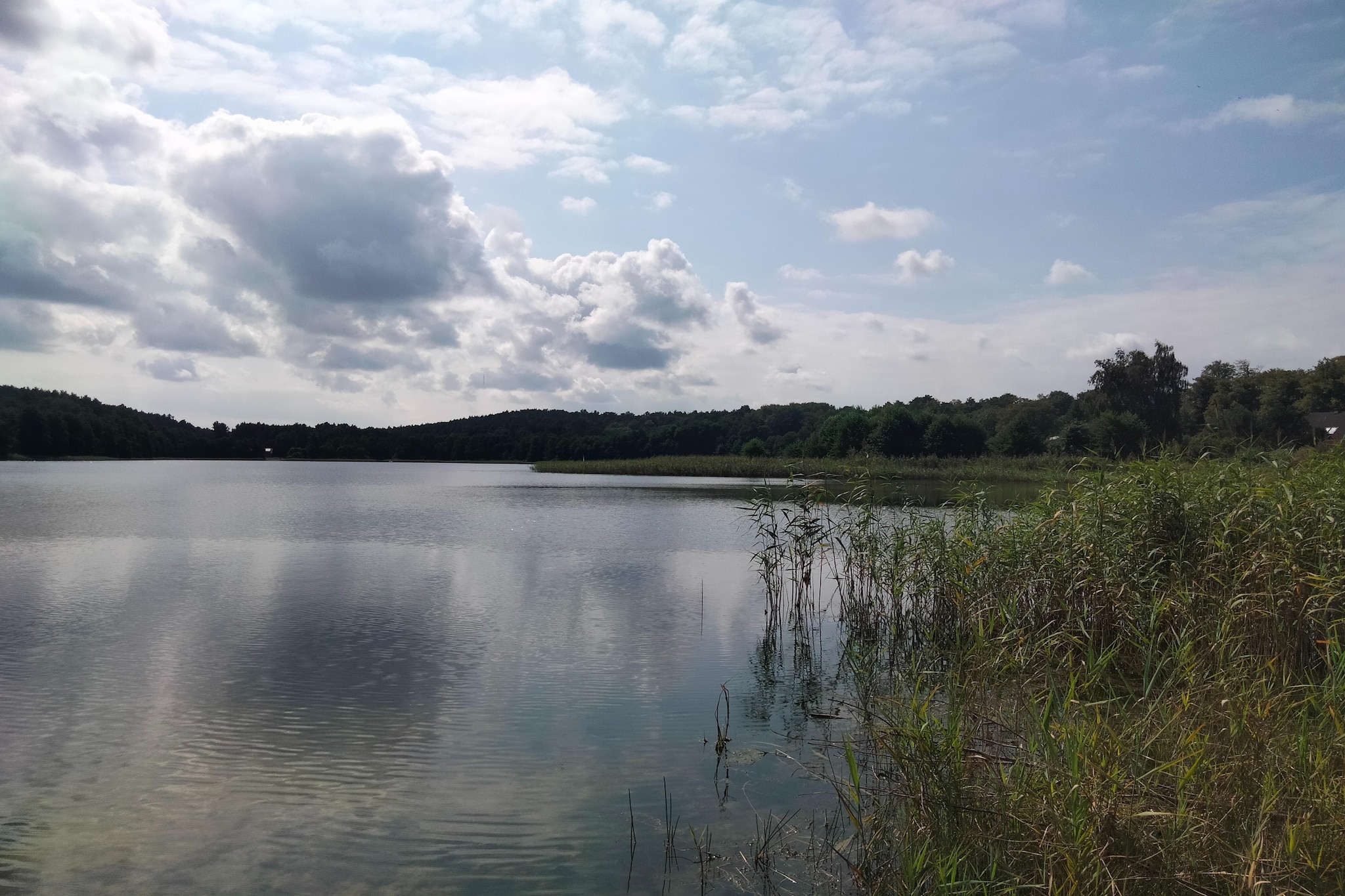 Wisełka Leśna - domek mały dla 4 osób-Areas summer 1km