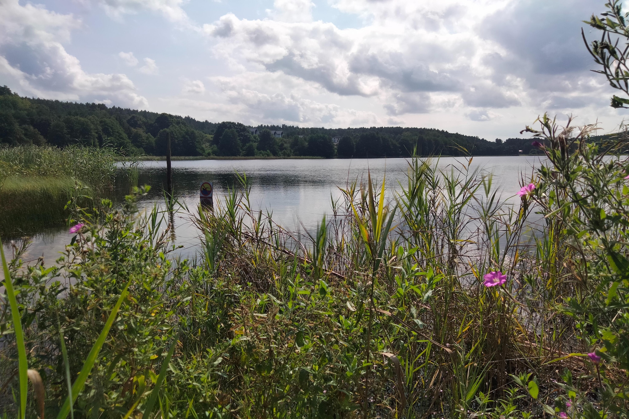 Wisełka Leśna - domek mały dla 4 osób-Areas summer 1km