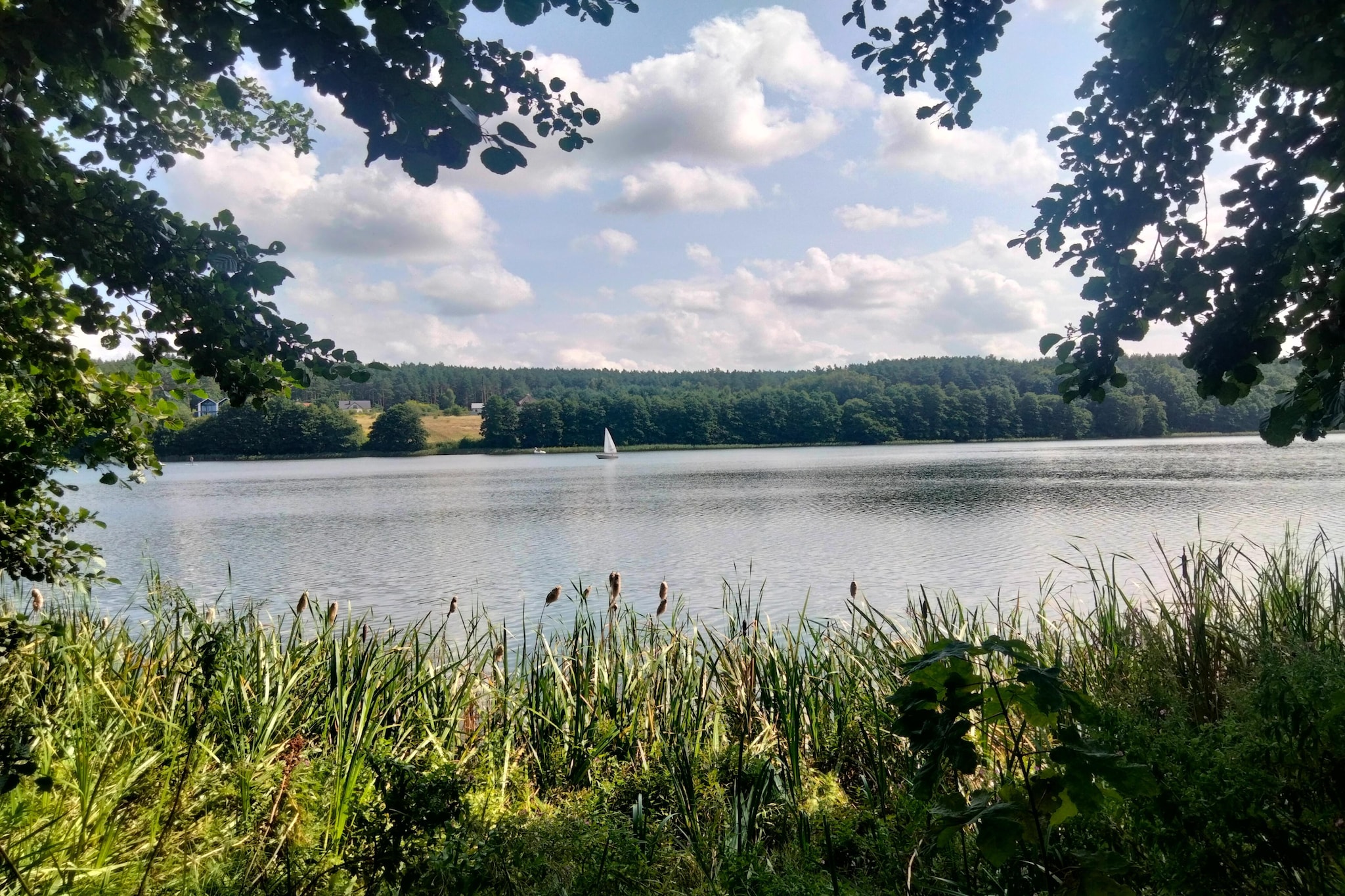 Wisełka Leśna - domek mały dla 4 osób-Areas summer 1km