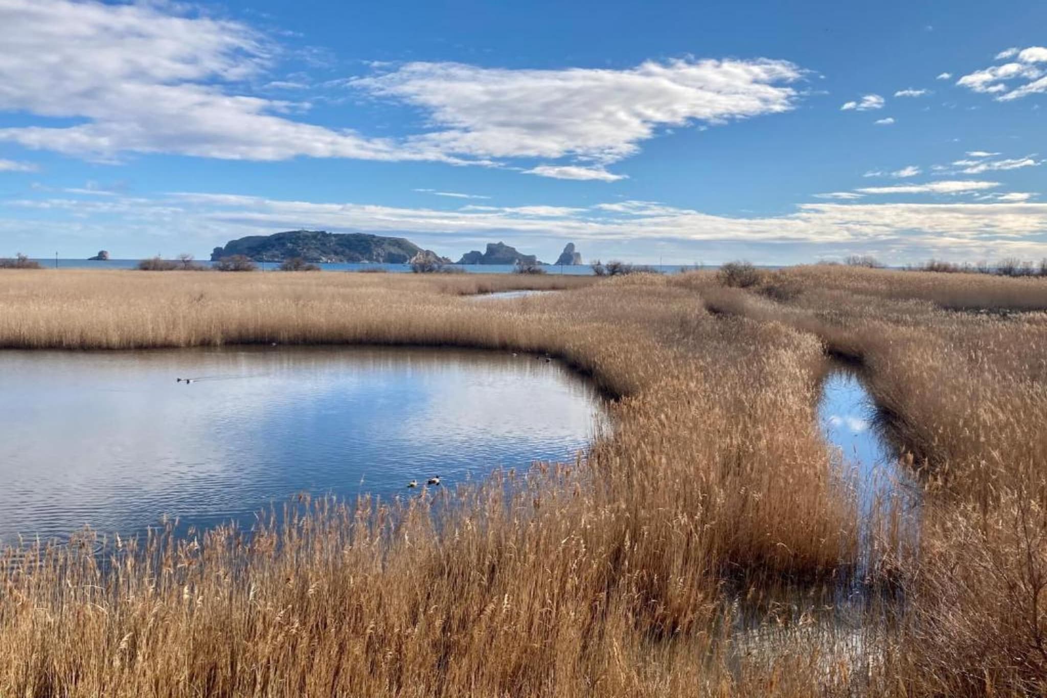 JADEMAR 083-D-Zones été à 1 km