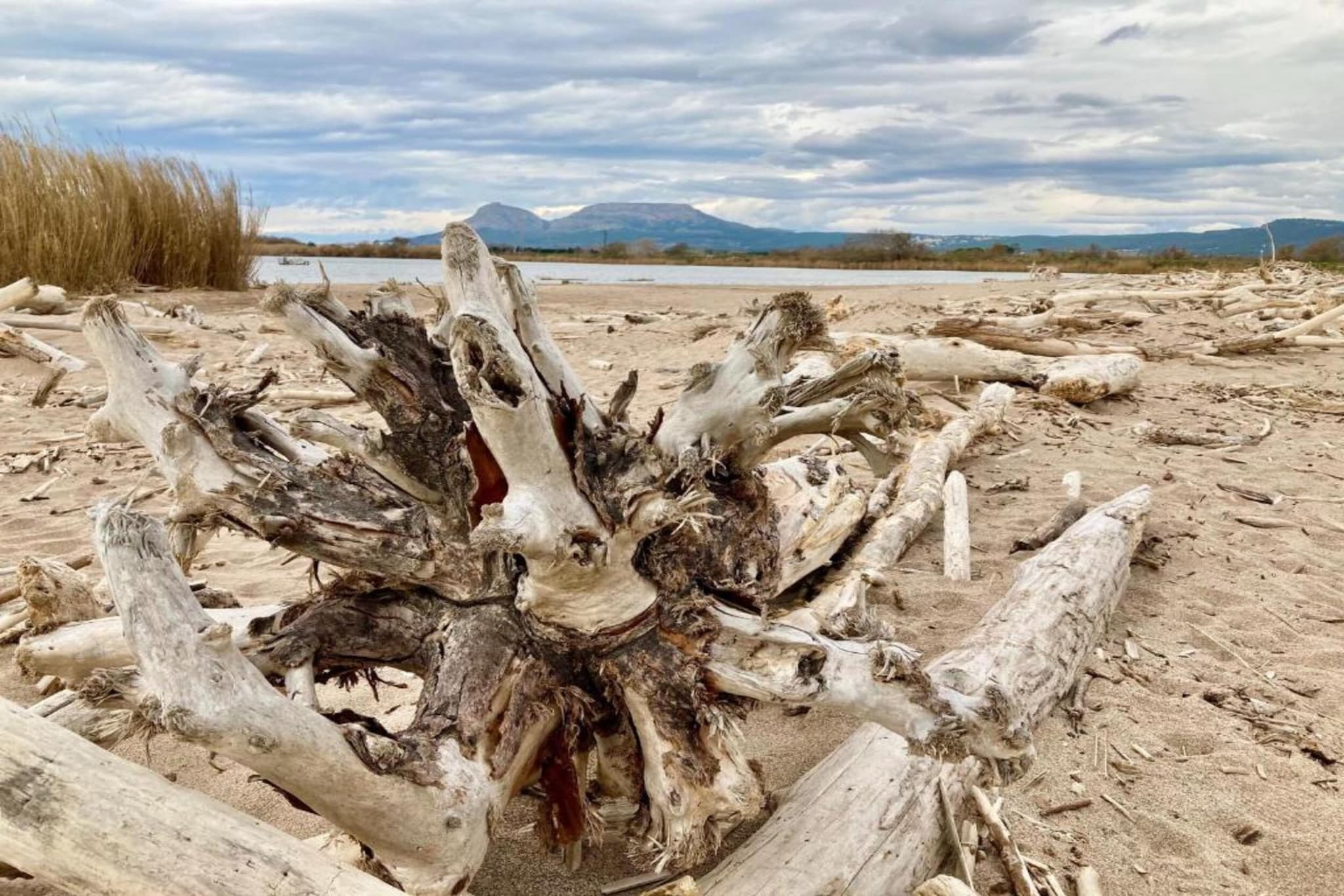 JADEMAR 083-D-Zones été à 1 km