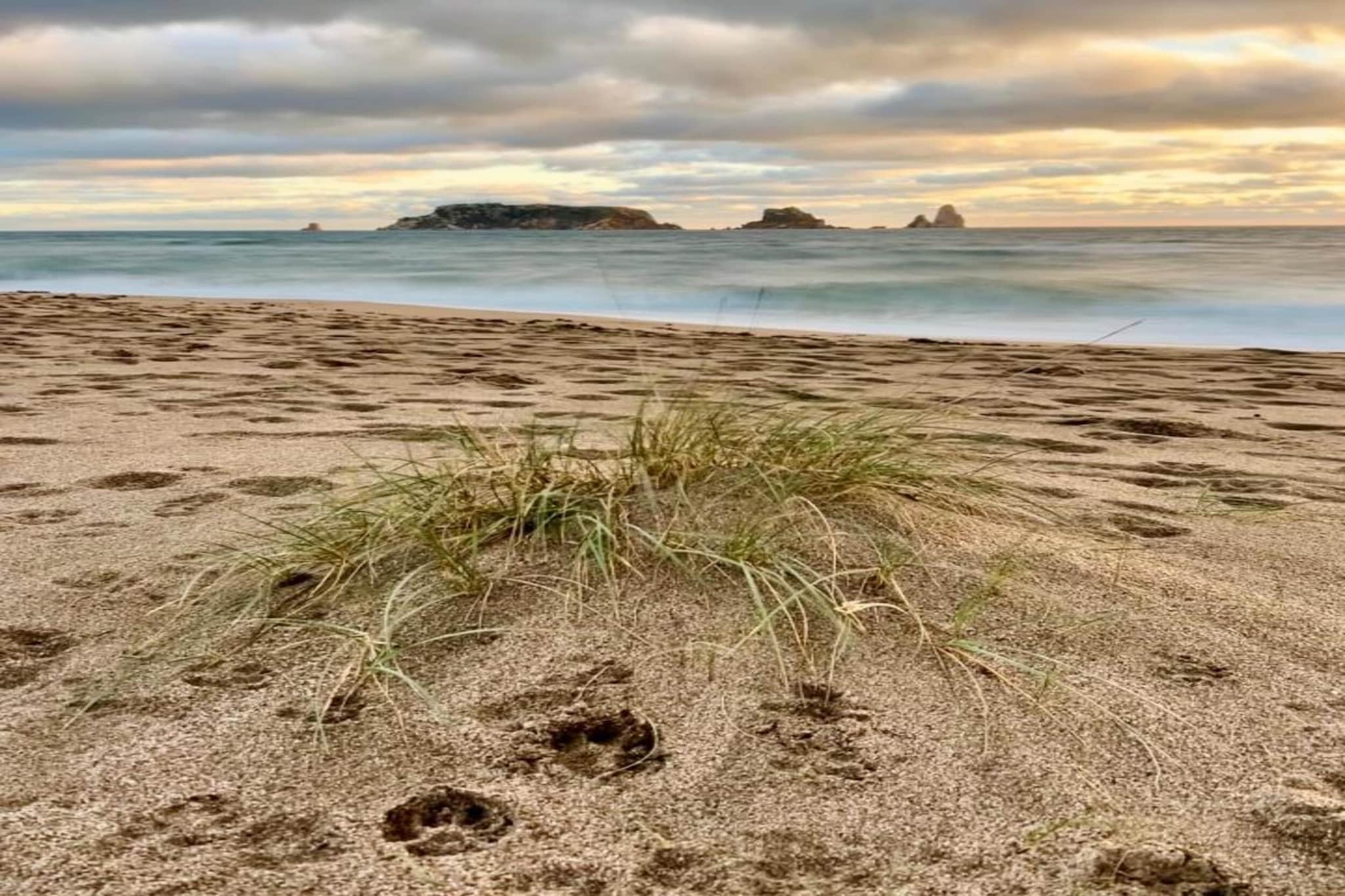 JADEMAR 083-D-Zones été à 1 km