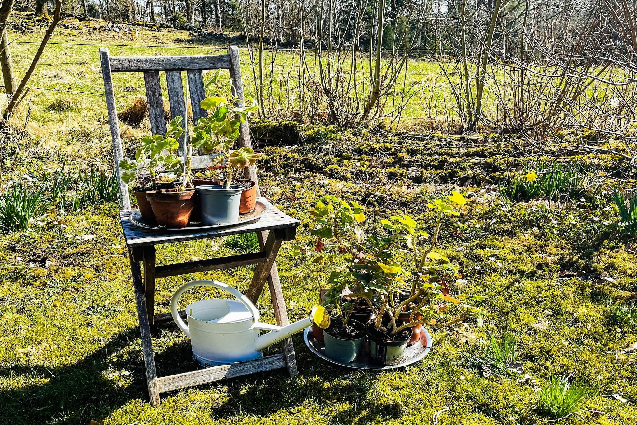 4 sterren vakantie huis in ISTORP-Niet-getagd