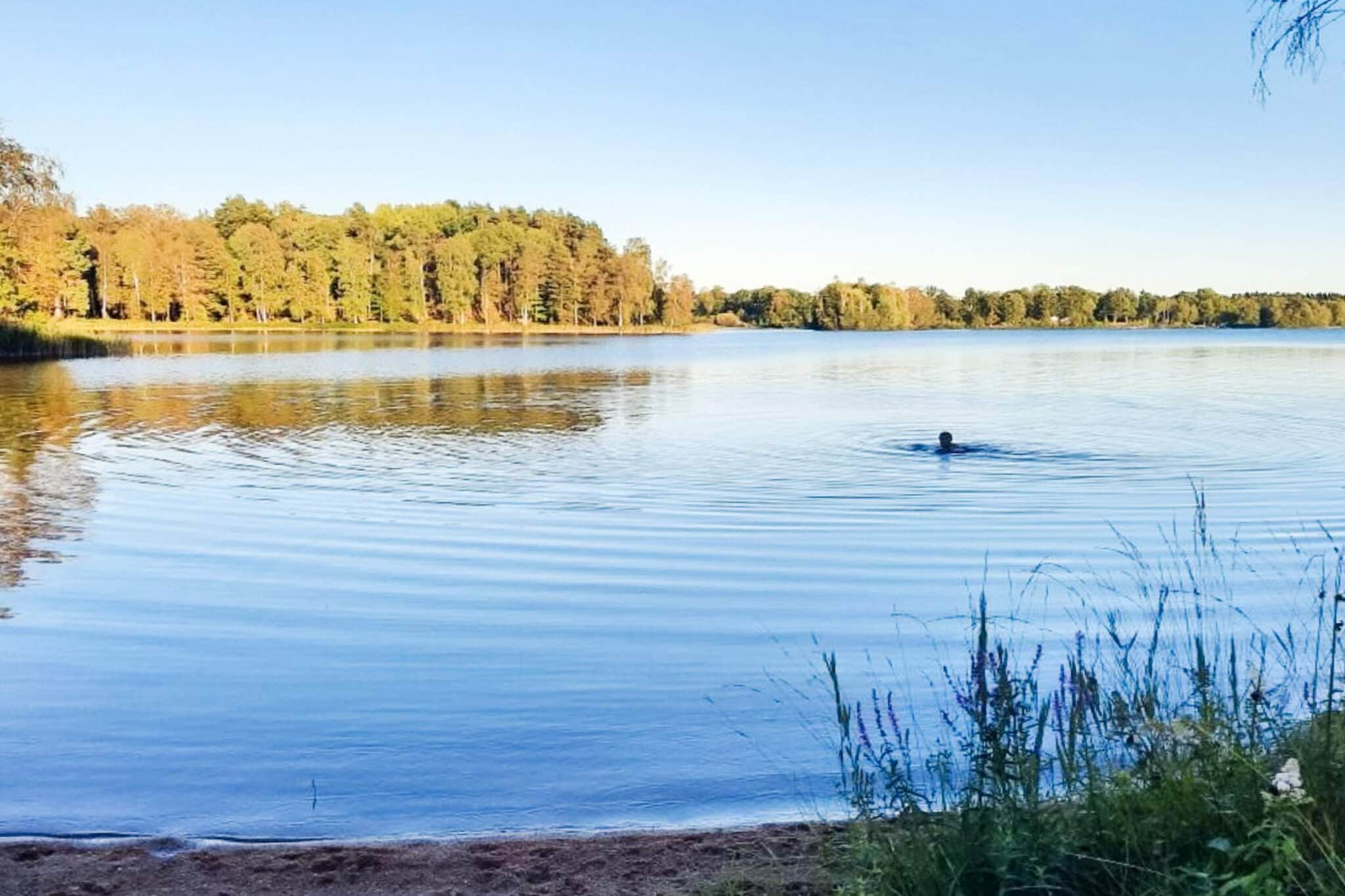 4 star holiday home in Holmsjö-Outdoor