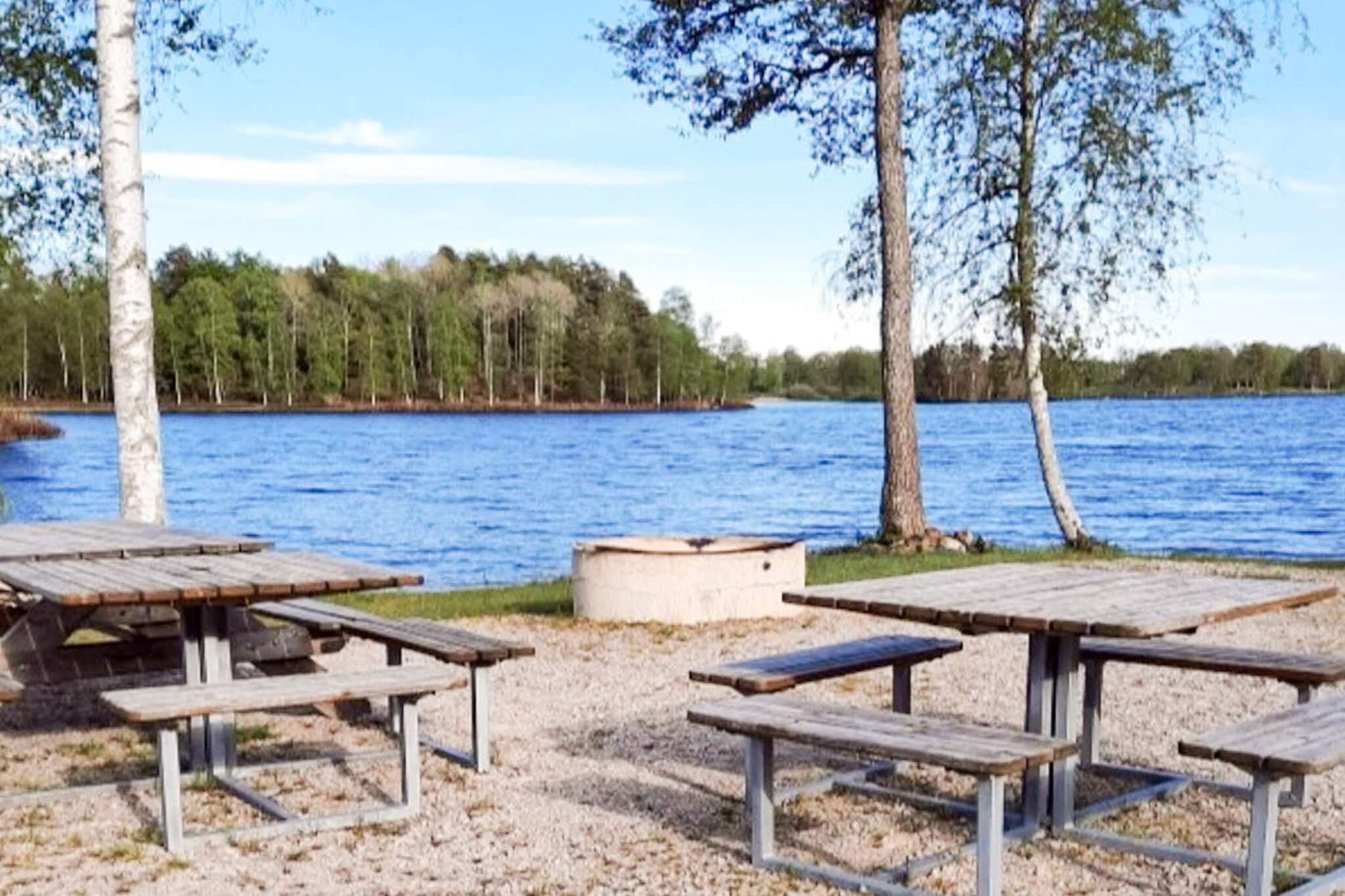 4 star holiday home in Holmsjö-Outdoor