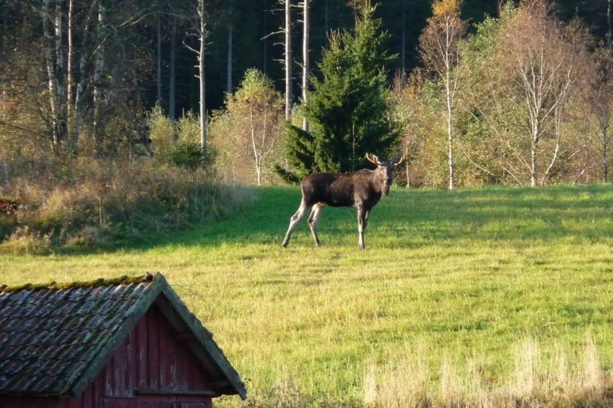 6 Personen Ferienhaus in mellerud-Nicht getaggt