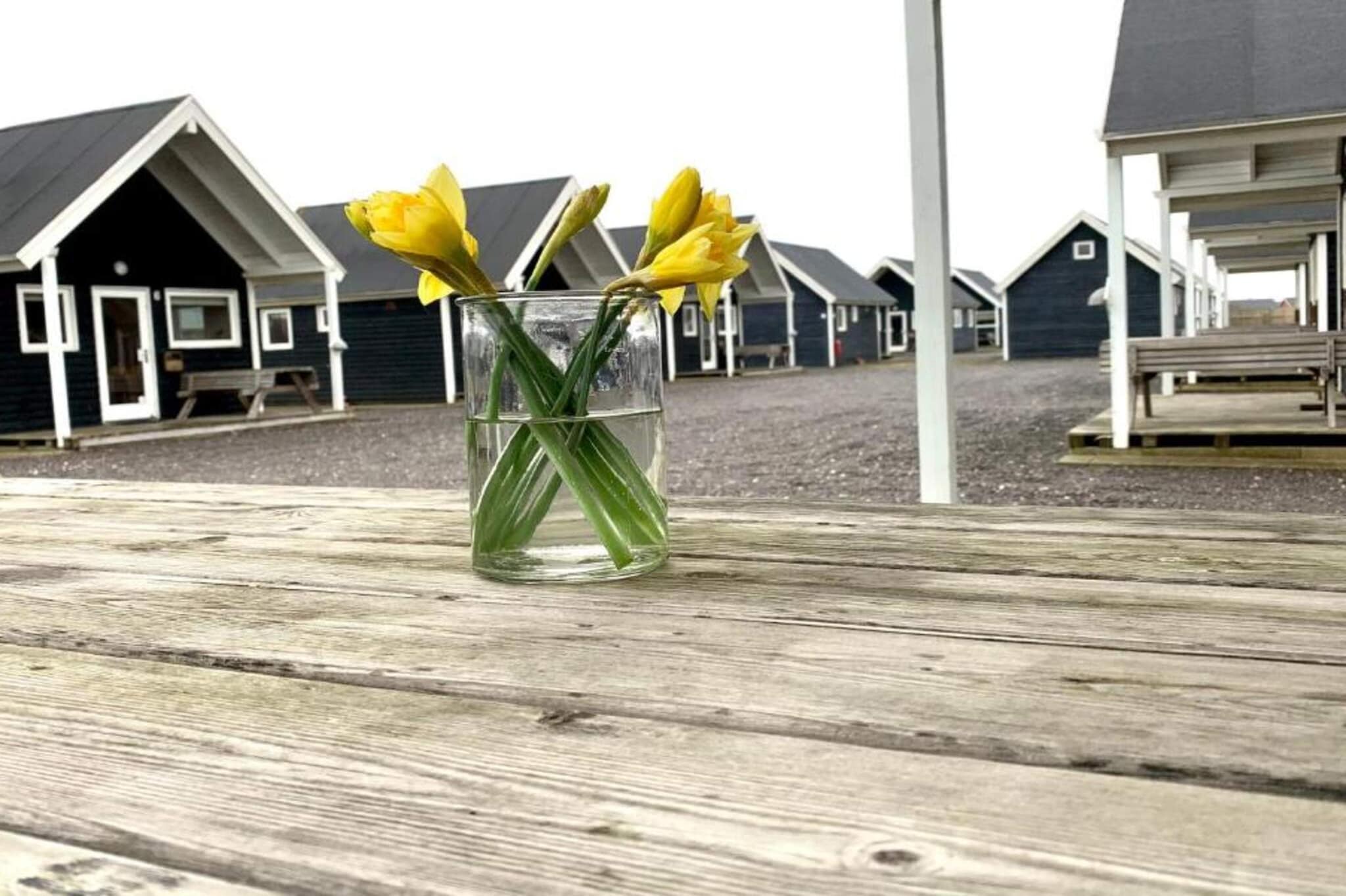 4 Sterne Ferienhaus in Thyborøn-Außenbereich