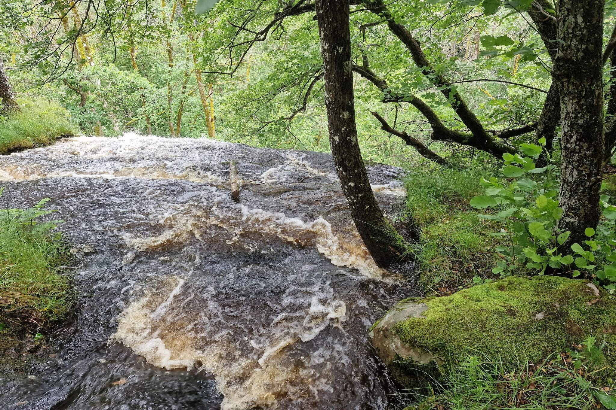Sunny Cottage Near Nature and Fjord