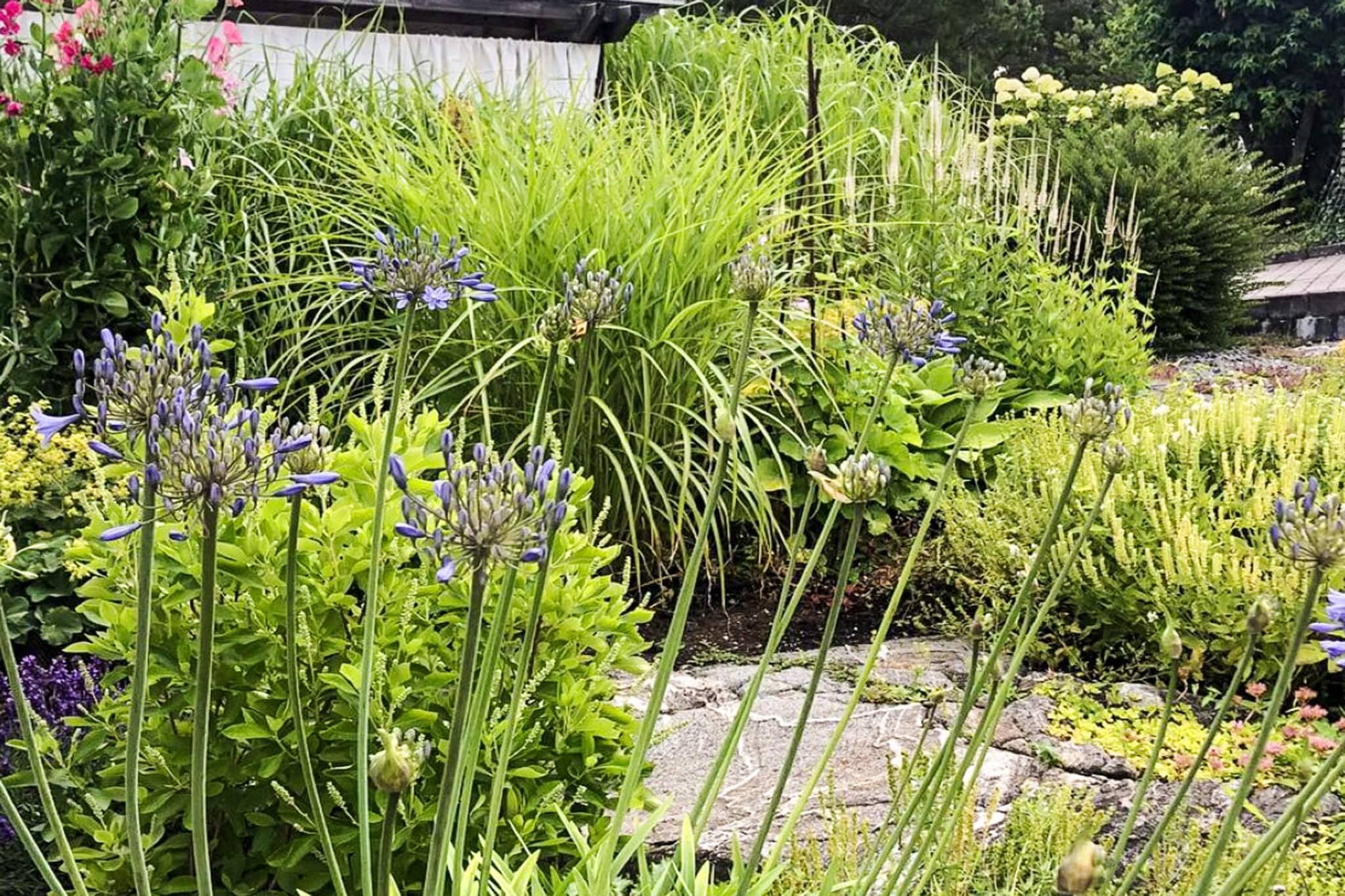 5 sterren vakantie huis in DALARÖ-Buitenlucht