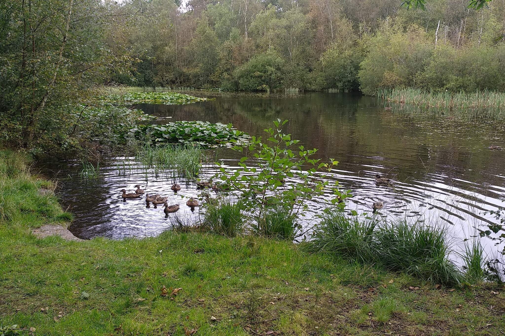 4 Sterne Ferienhaus in Ålbæk-Wasserblick