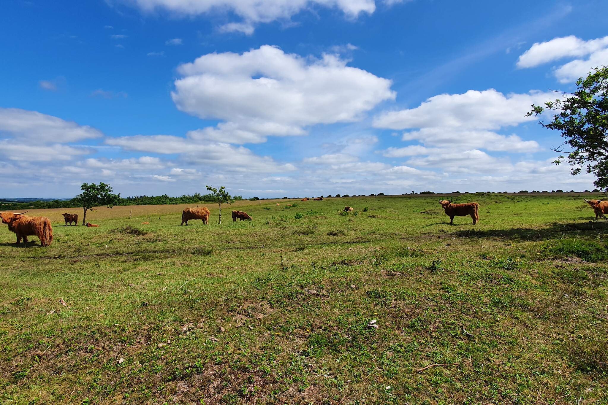 5 etoiles maison de vacances a Farsø-Non tagué
