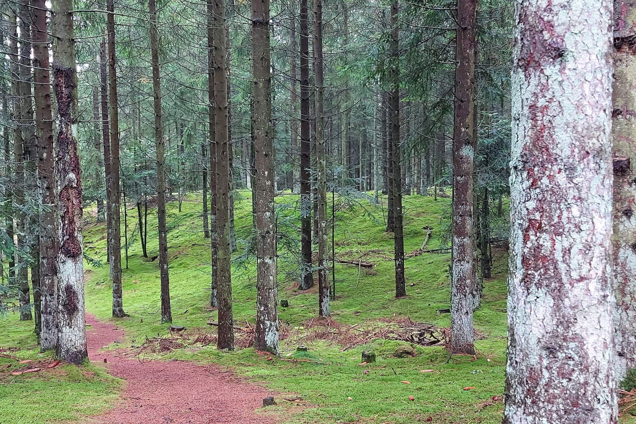 5 etoiles maison de vacances a Farsø-Non tagué