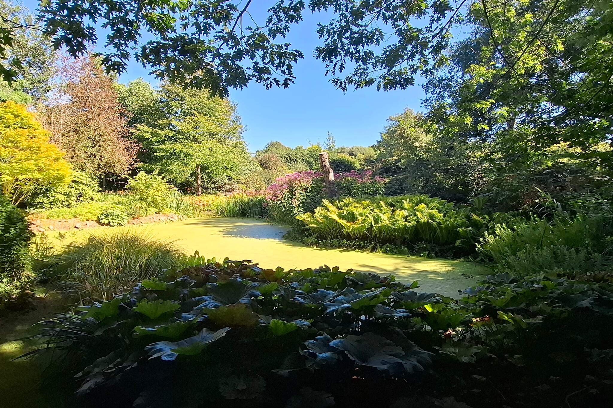 Water View