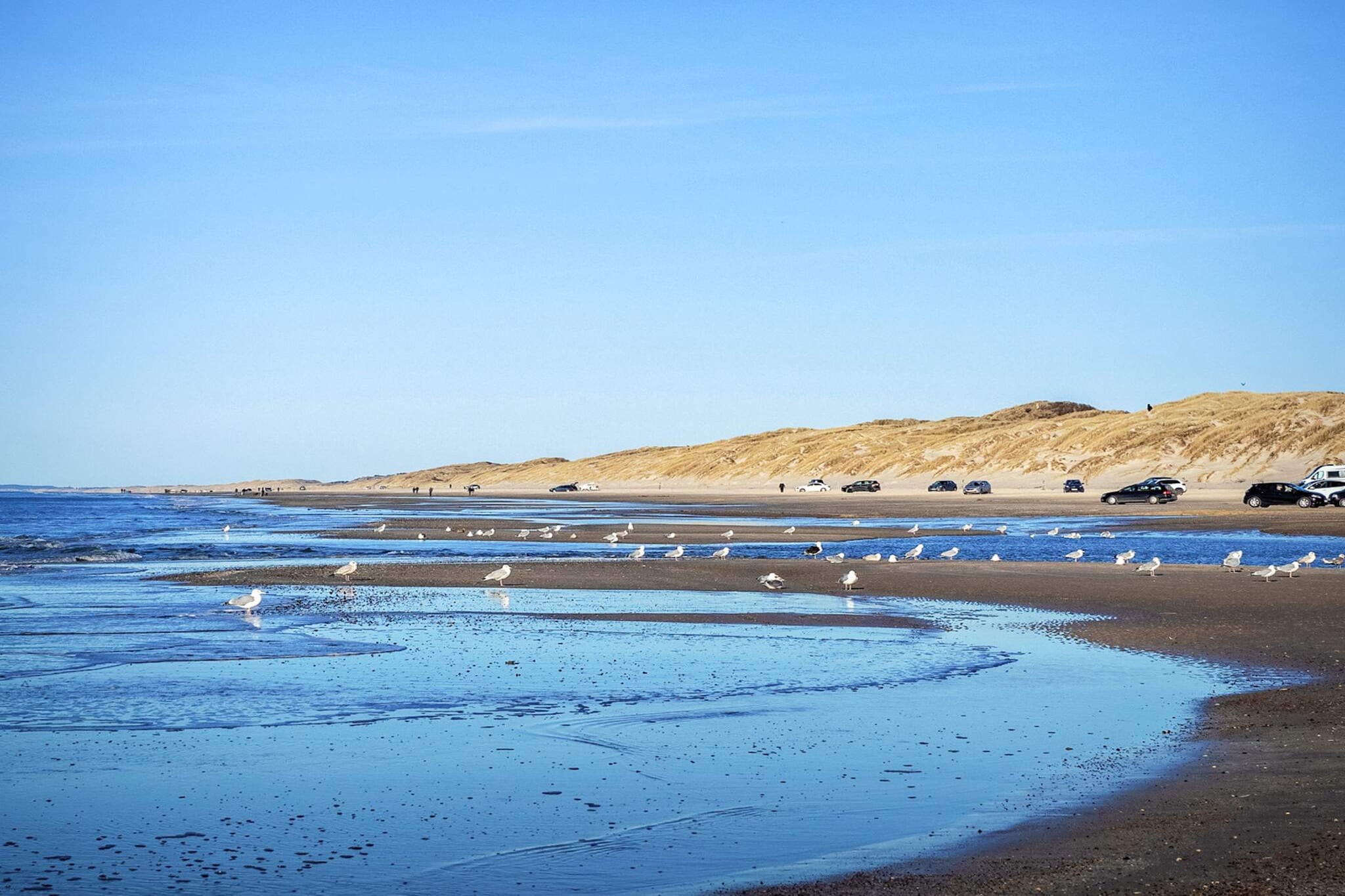 4 Sterne Ferienhaus in Blokhus-Wasserblick