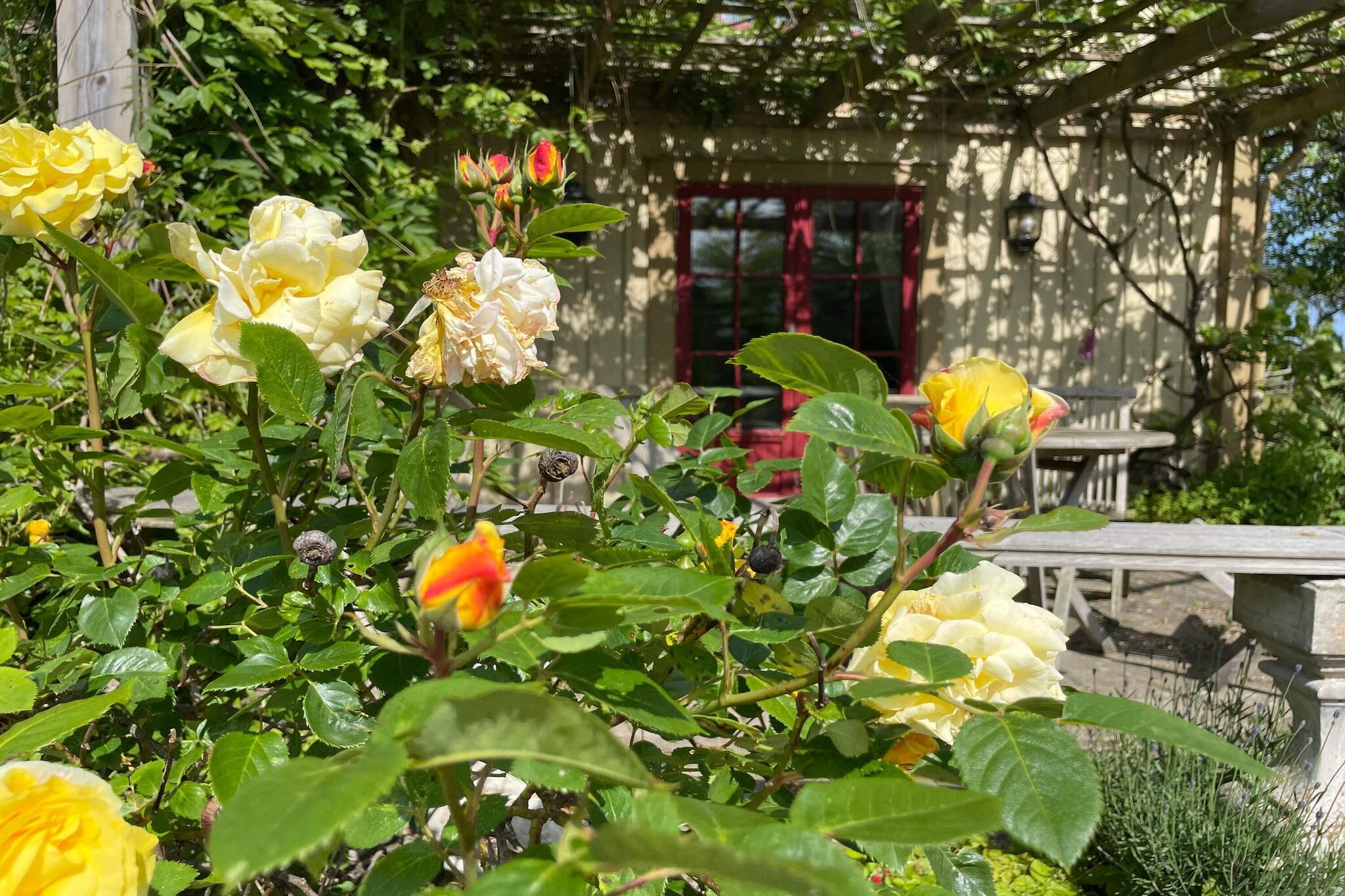 4 Sterne Ferienhaus in Fågelmara-Außenbereich