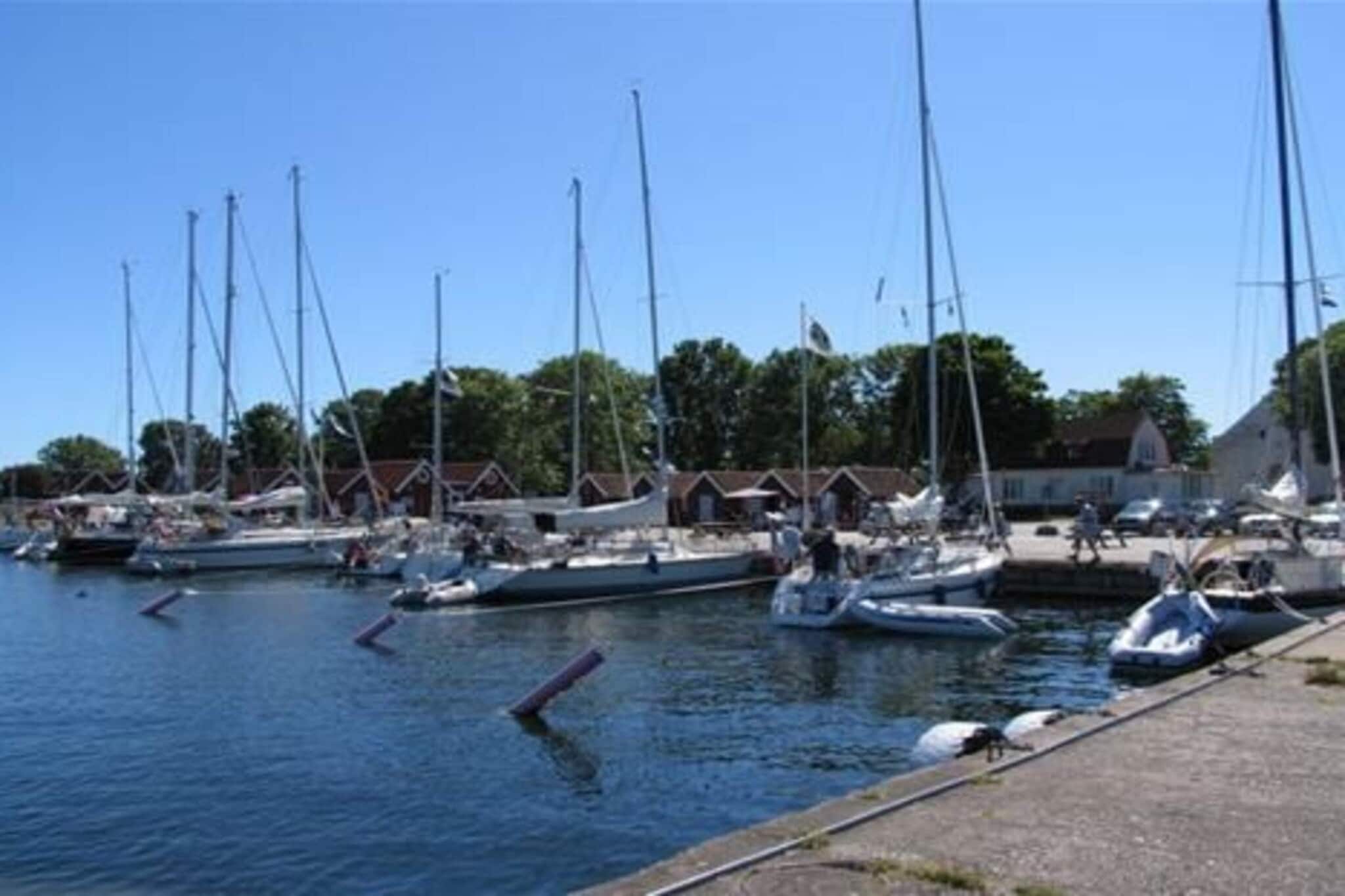 4 Sterne Ferienhaus in Fågelmara-Außenbereich
