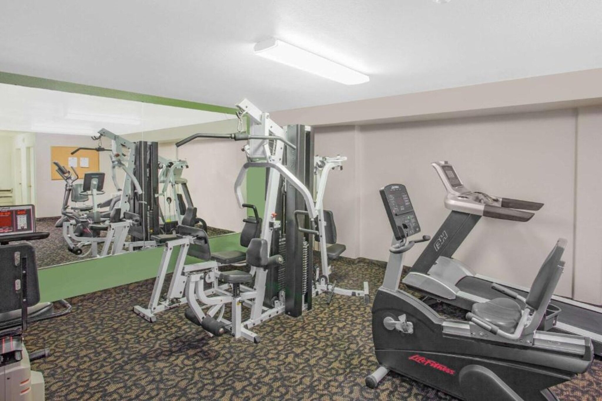 Wellness