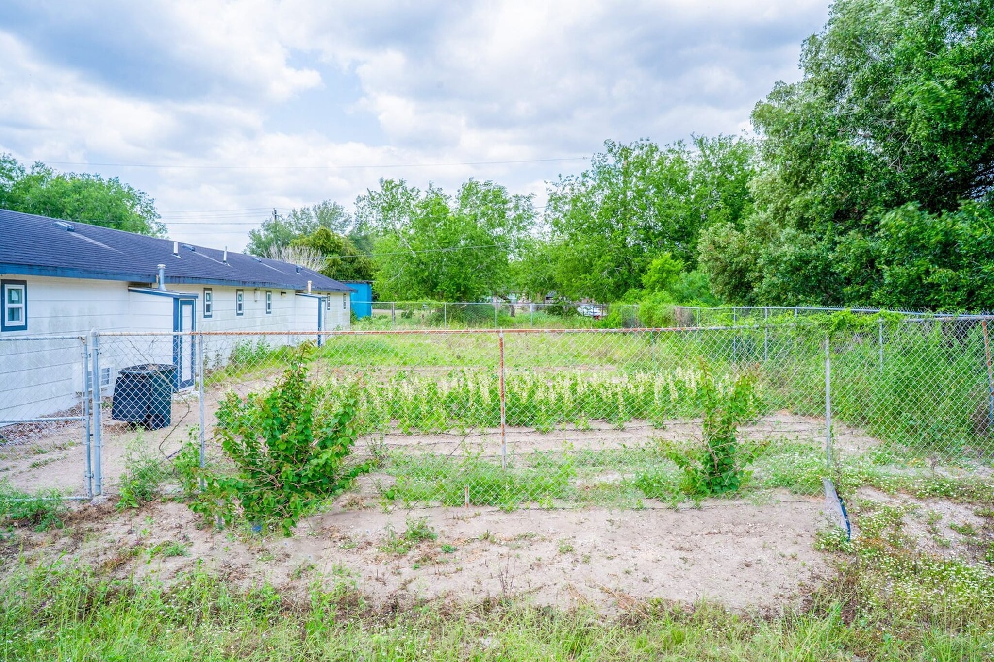 Garden Summer
