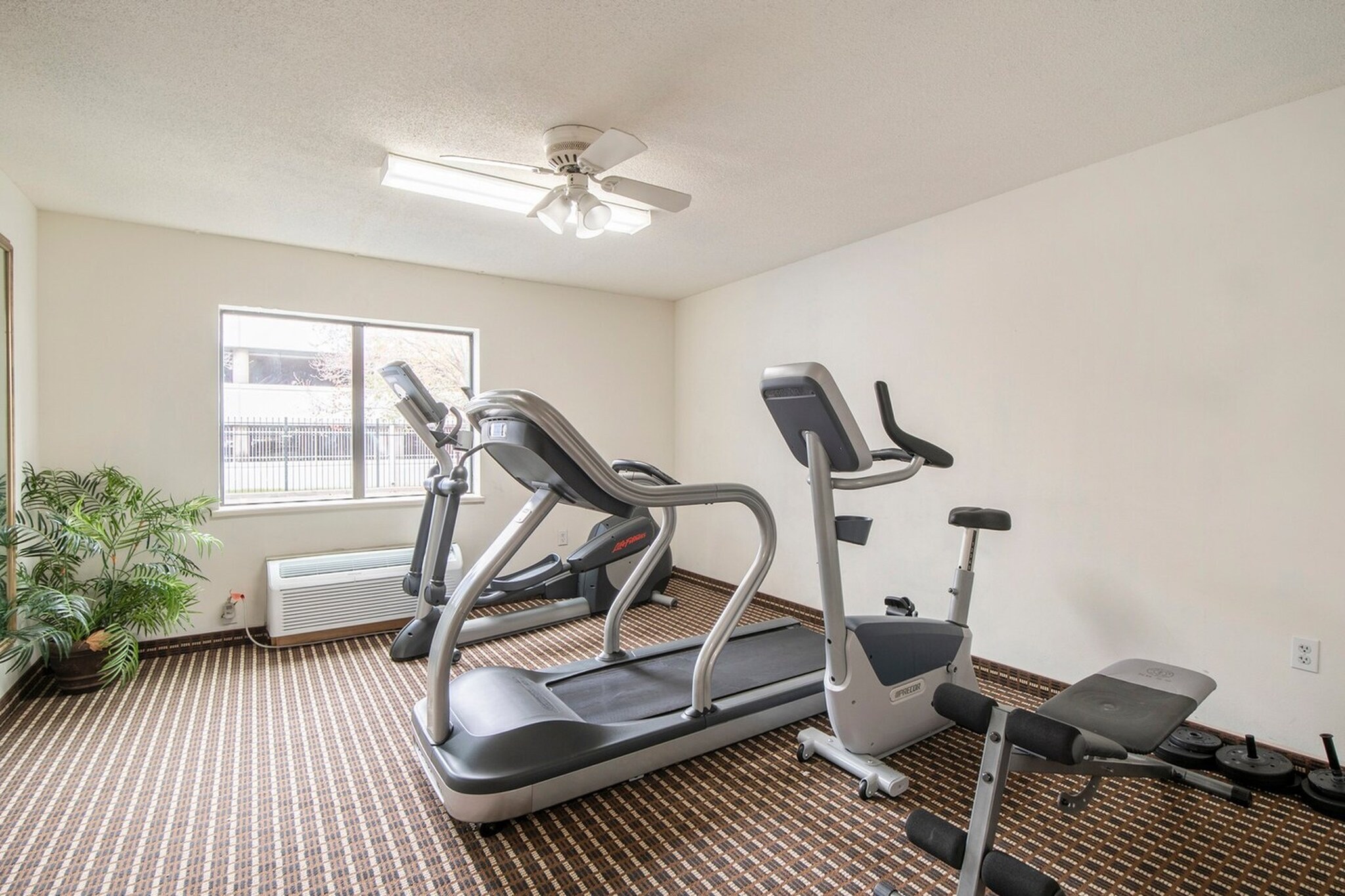 Wellness