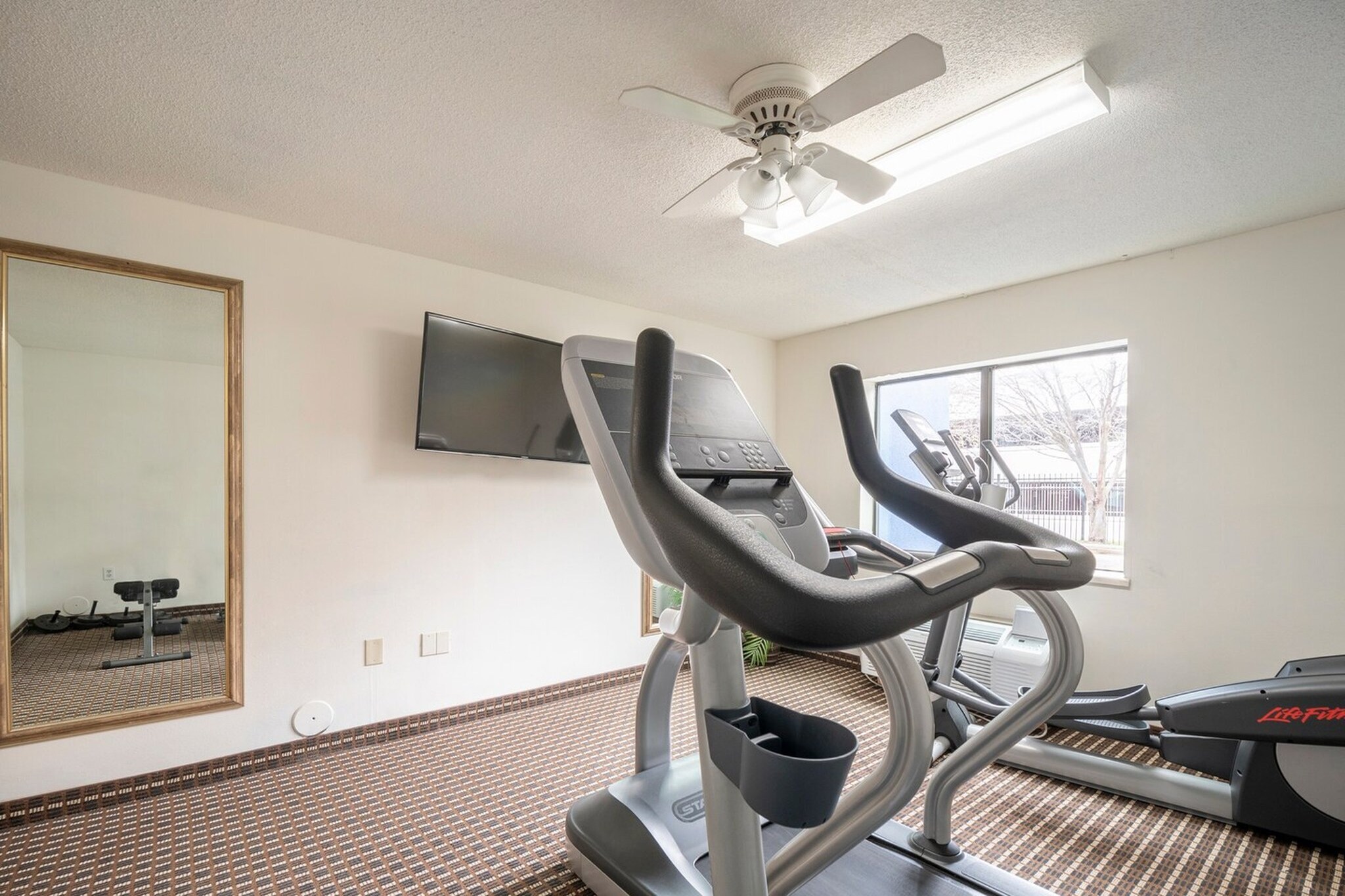 Wellness