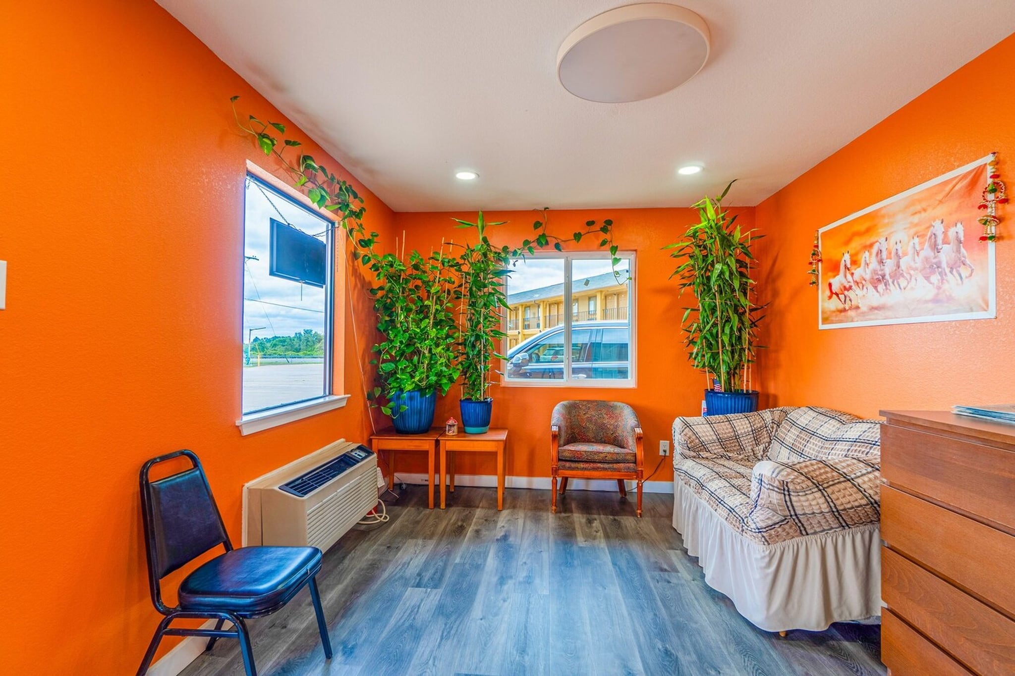 Hall Reception