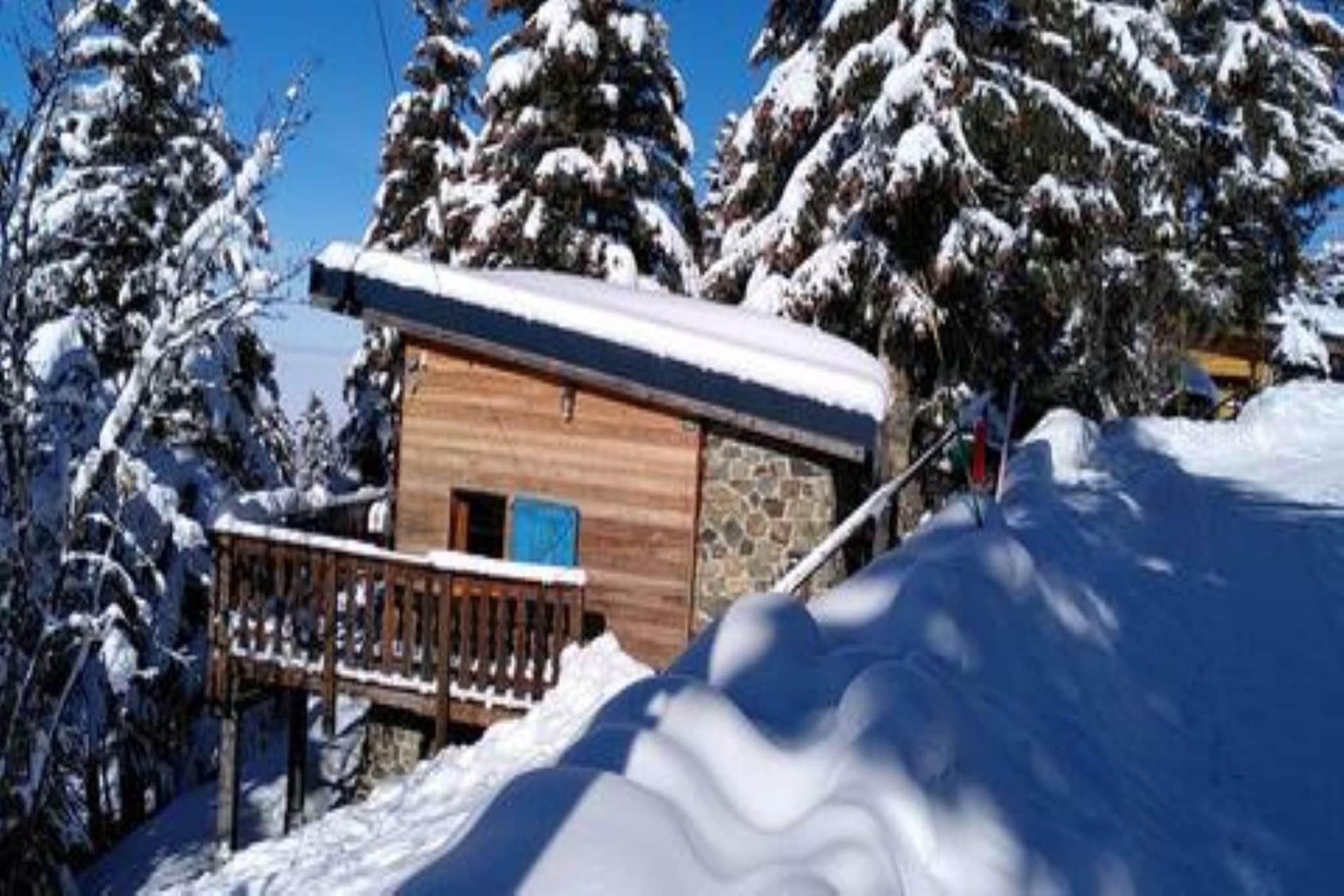 Chalet des lupins - Chalet 1P2-Outdoor