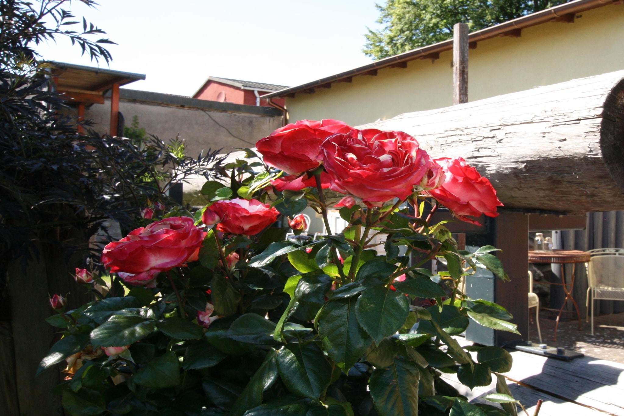 Appartement 2 P-Jardin d'été
