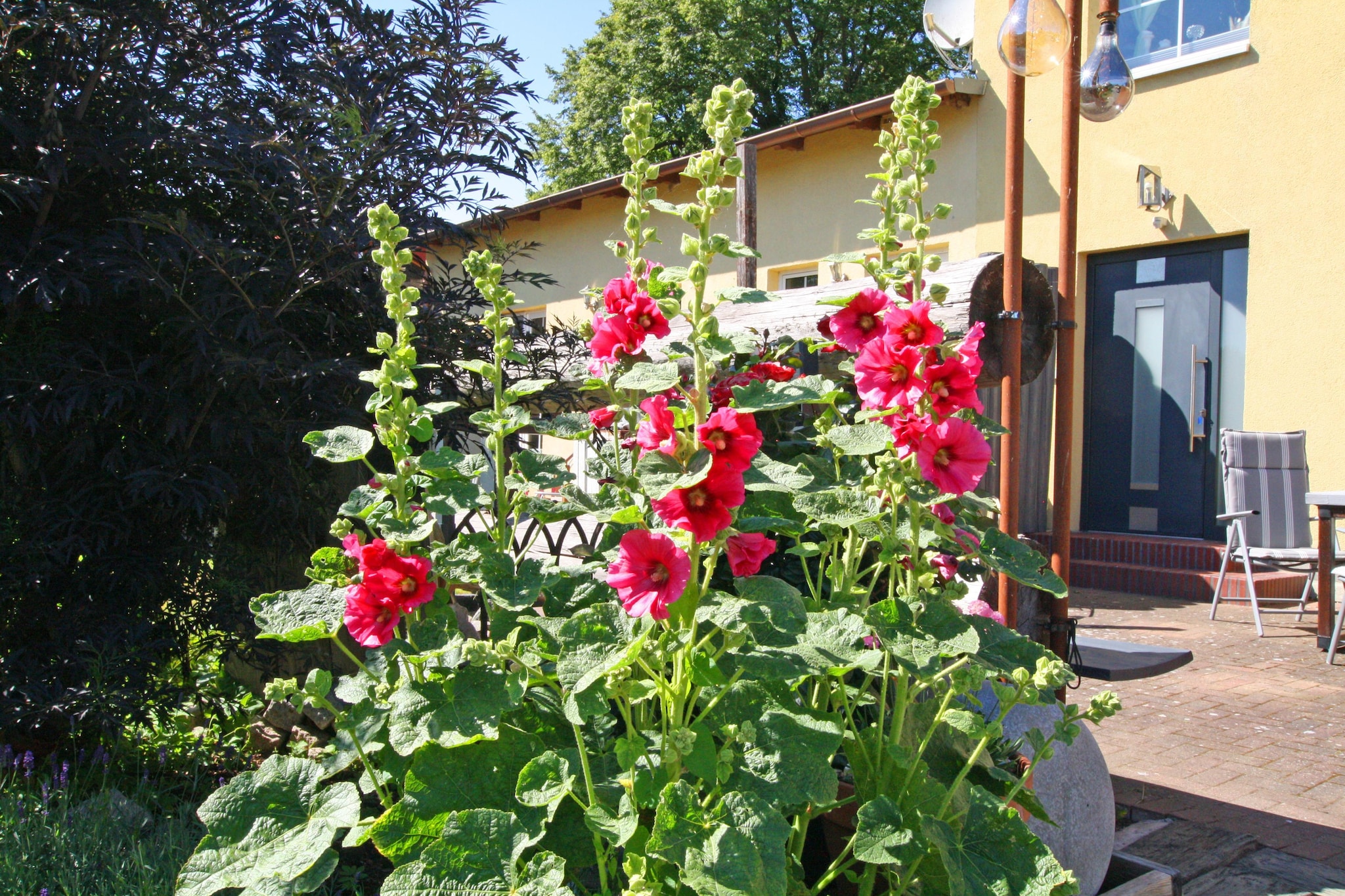 Appartement 2 P-Jardin d'été