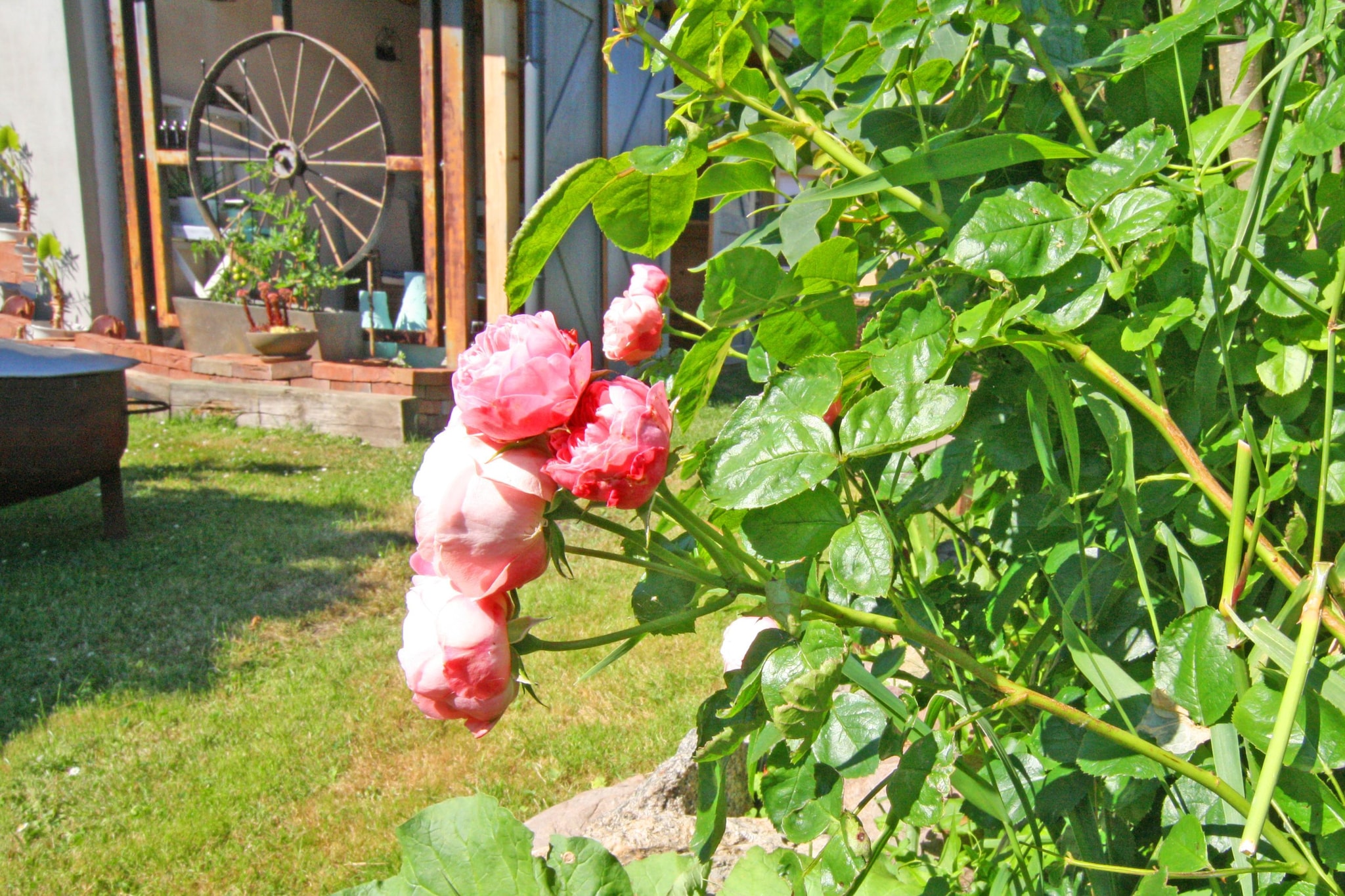 Appartement 2 P-Jardin d'été