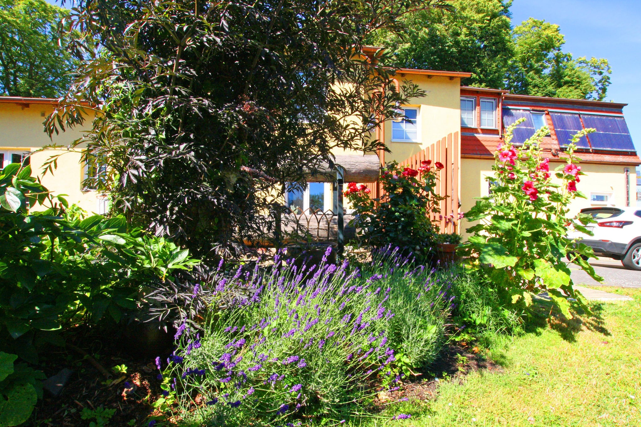 Fewo 1 OG 3 P-Jardin d'été