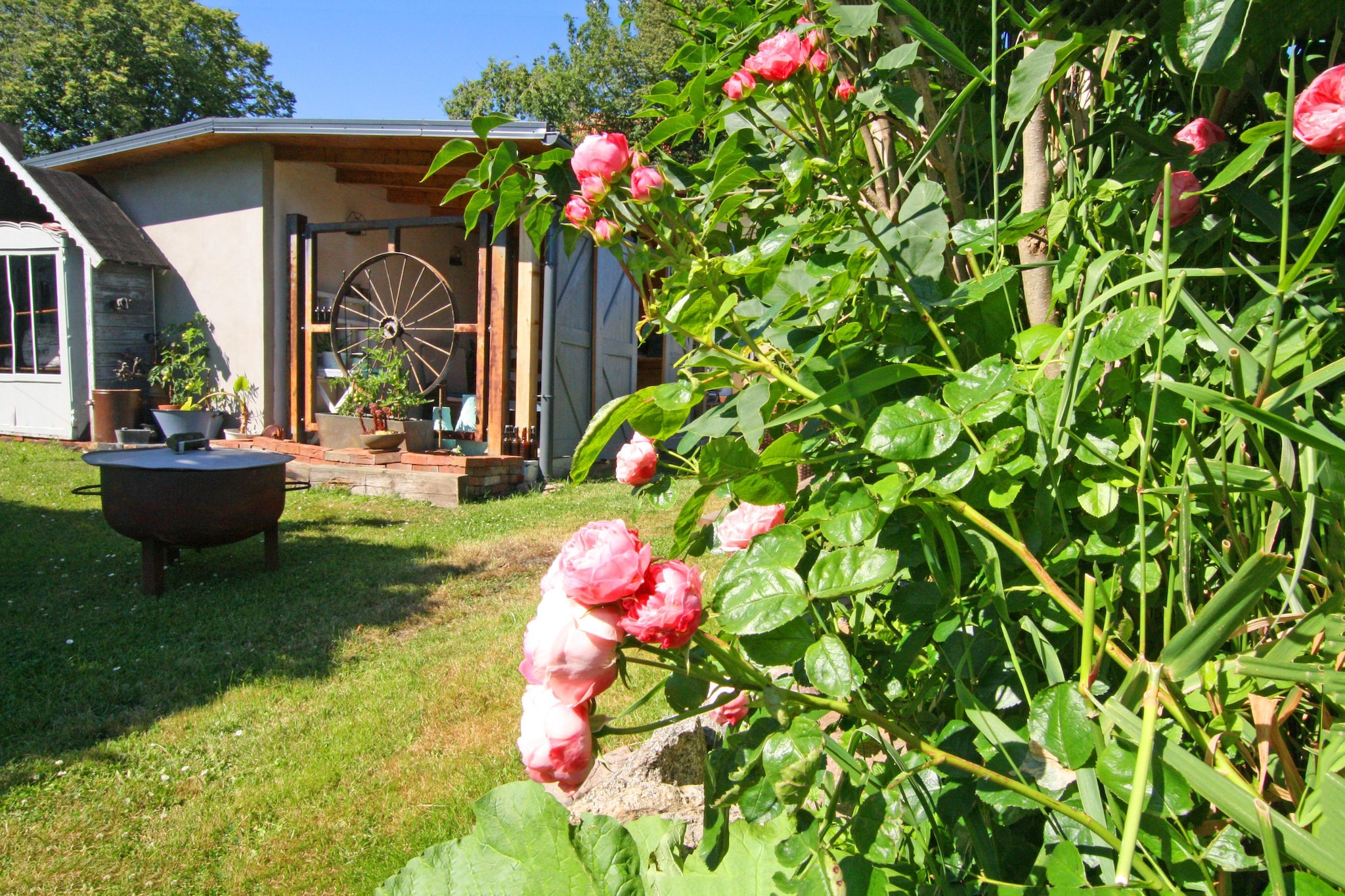 Fewo EG 4 P-Gardens summer