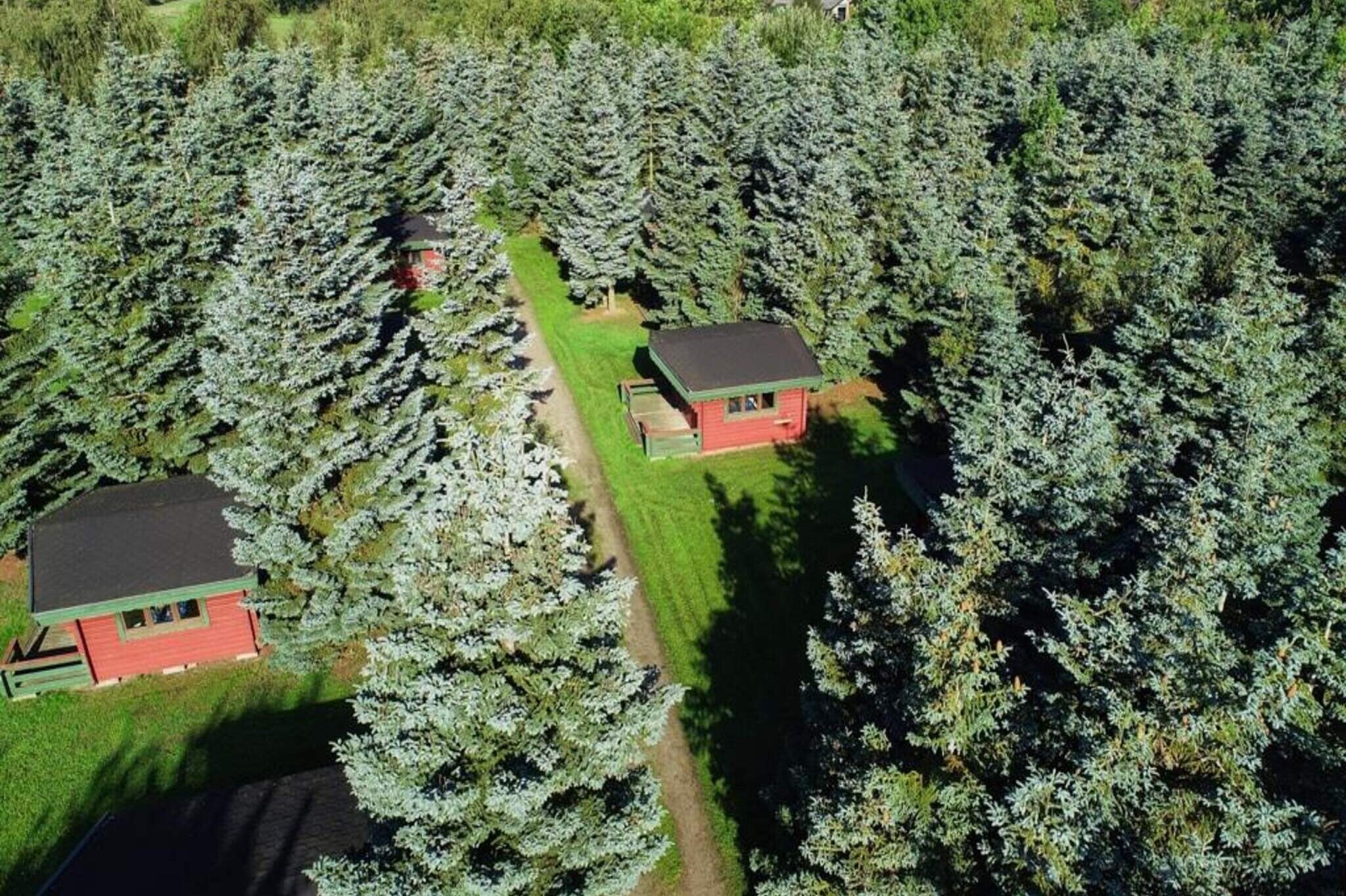 The property, ideally located in the heart of North Zealand, offers a variety of accommodations catering to different preferences, from camping cabins to motel rooms and larger luxury cottages. All units come equipped with essential amenities such as comfortable bedding, with the option to rent additional duvets, pillows, and linens on-site. The holiday park offers ample opportunities for relaxation and recreation, accommodating both small and large groups. With spacious living areas and outdoor spaces, it provides a welcoming environment for families or groups. Guests can also enjoy various activities like mini-golf, pÃ©tanque, and playgrounds, as well as seasonal events such as pool parties, music evenings, and bingo nights, ensuring there's never a dull moment during their stay. Set just 2 km from Smidstrup Strand and 7 km from Gilleleje, the park is ideally located for those who enjoy outdoor adventures. The surrounding area boasts scenic landscapes, perfect for hiking, cycling, and fishing. Guests can also explore nearby golf courses, some of Denmark's best, making it a prime location for both nature lovers and golf enthusiasts. The proximity to the beach offers additional opportunities for water-based activities, while the park's own restaurant, Restaurant GÃ¥rdhaven, provides a pleasant dining experience. In addition to its excellent location and recreational offerings, the park also features an indoor spa, an outdoor swimming pool, and a small market where essential supplies can be purchased.