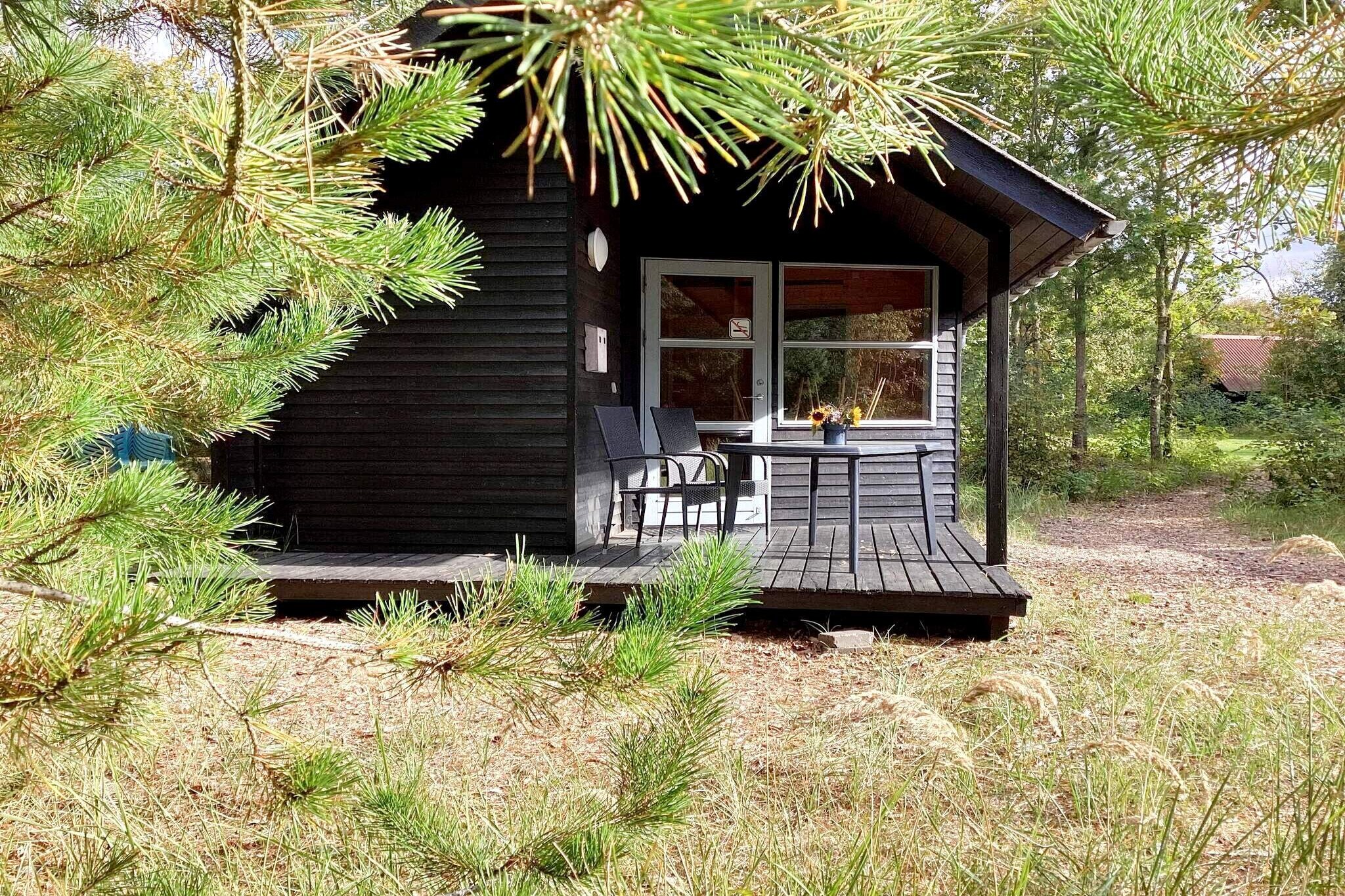 The property, along with its serene setting and modern comforts, offers a well-equipped holiday home designed for 6 guests. It features 2 bedrooms and a spacious living room with a sofa, providing a cozy space for relaxation. The home is not pet-friendly, and guests are required to bring their own bath towels and bed linens. For added convenience, the home includes free WiFi and a final cleaning service, although guests have the option to clean the property themselves. The property does not offer a private pool but is ideal for those looking for a quiet and comfortable stay. The home can accommodate up to 6 people with additional flexibility during specific times. The property is conveniently located in Pandrup, Denmark, close to several attractions and essential amenities. Guests will find restaurants just 4.5 km away, offering a range of dining options. The nearest airport is 23.6 km from the accommodation, making travel to and from the location relatively easy. For those relying on public transport, the area is accessible via local buses, with further connections to nearby train stations, ensuring smooth travel for visitors exploring the surrounding region. In addition to its comfortable living spaces, the holiday home comes with a fully equipped kitchen, allowing guests to prepare meals during their stay. The kitchen includes standard appliances, making self-catering convenient. As for other services, the home offers a standard electricity fee, with a set charge for final cleaning.