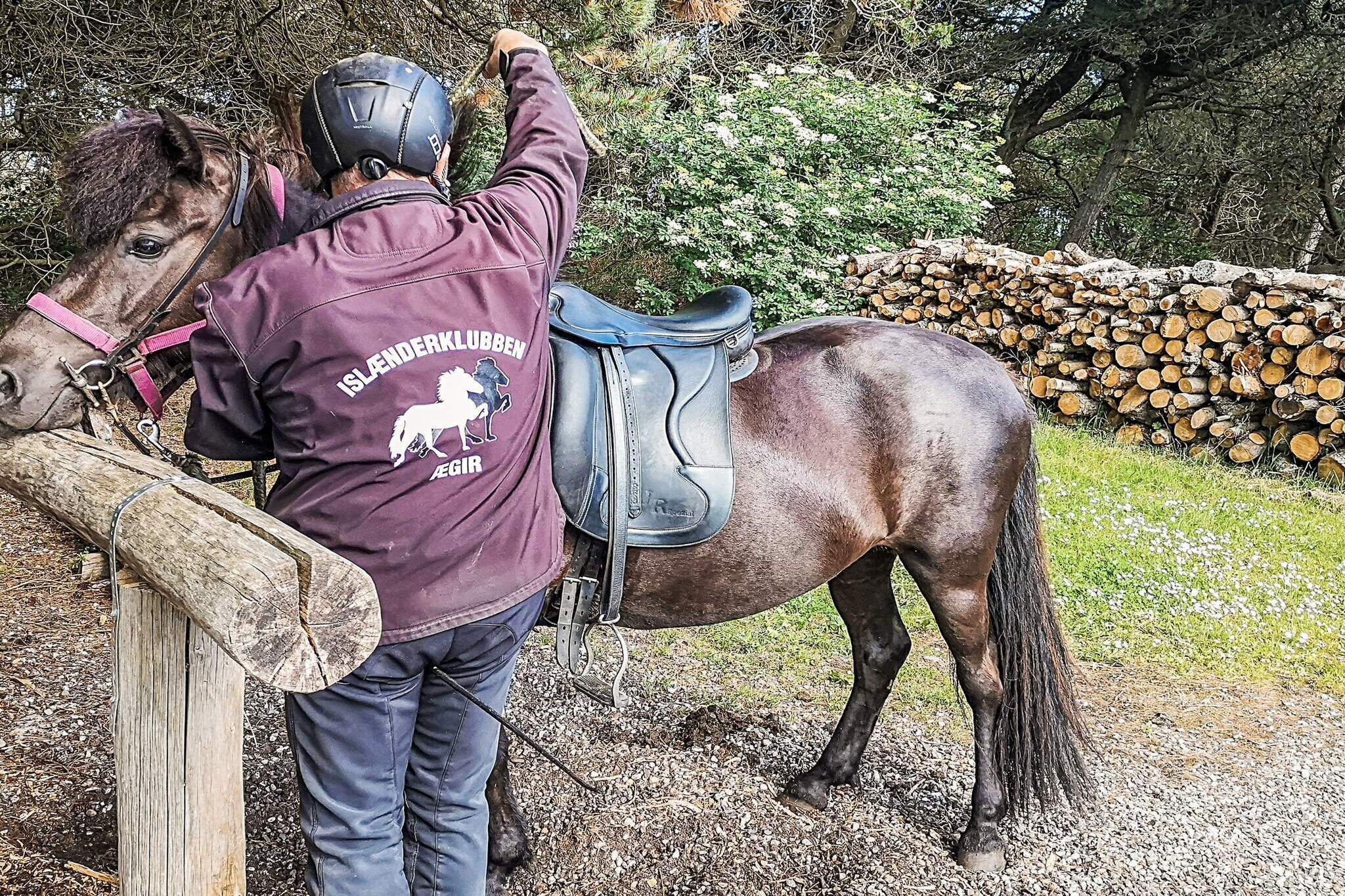 open kitchen(cooker(2 ring stoves), oven(mini), microwave, dishwasher, fridge-freezer), Living/bed room, bedroom(double bed), bedroom(double bed), bathroom(washbasin, shower, toilet), mezzanine(2x single folding bed), game computer, heating(electric), terrace(roofed)(garden furniture), parking, table tennis table