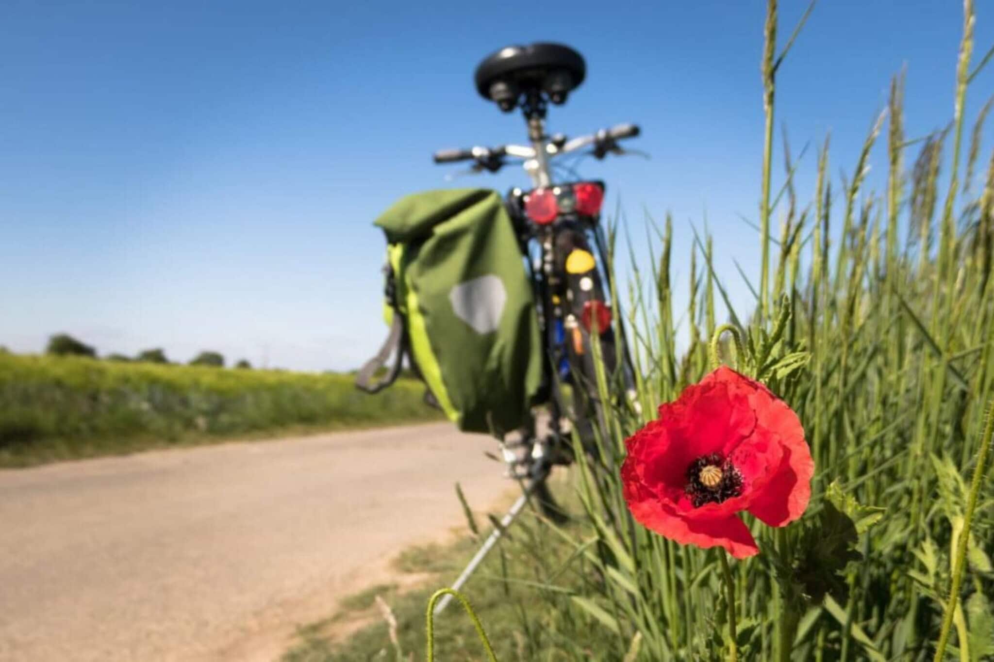 4 persoons vakantieparkhuis in Asperup-Niet-getagd