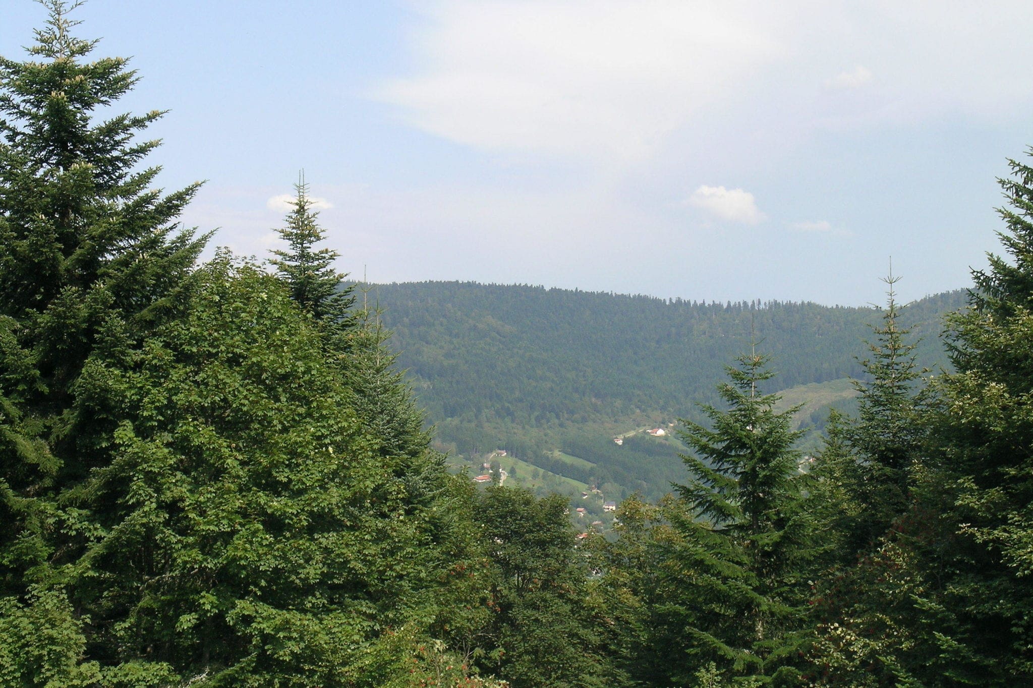 Chalet cosy à Ventron, vue sur les collines