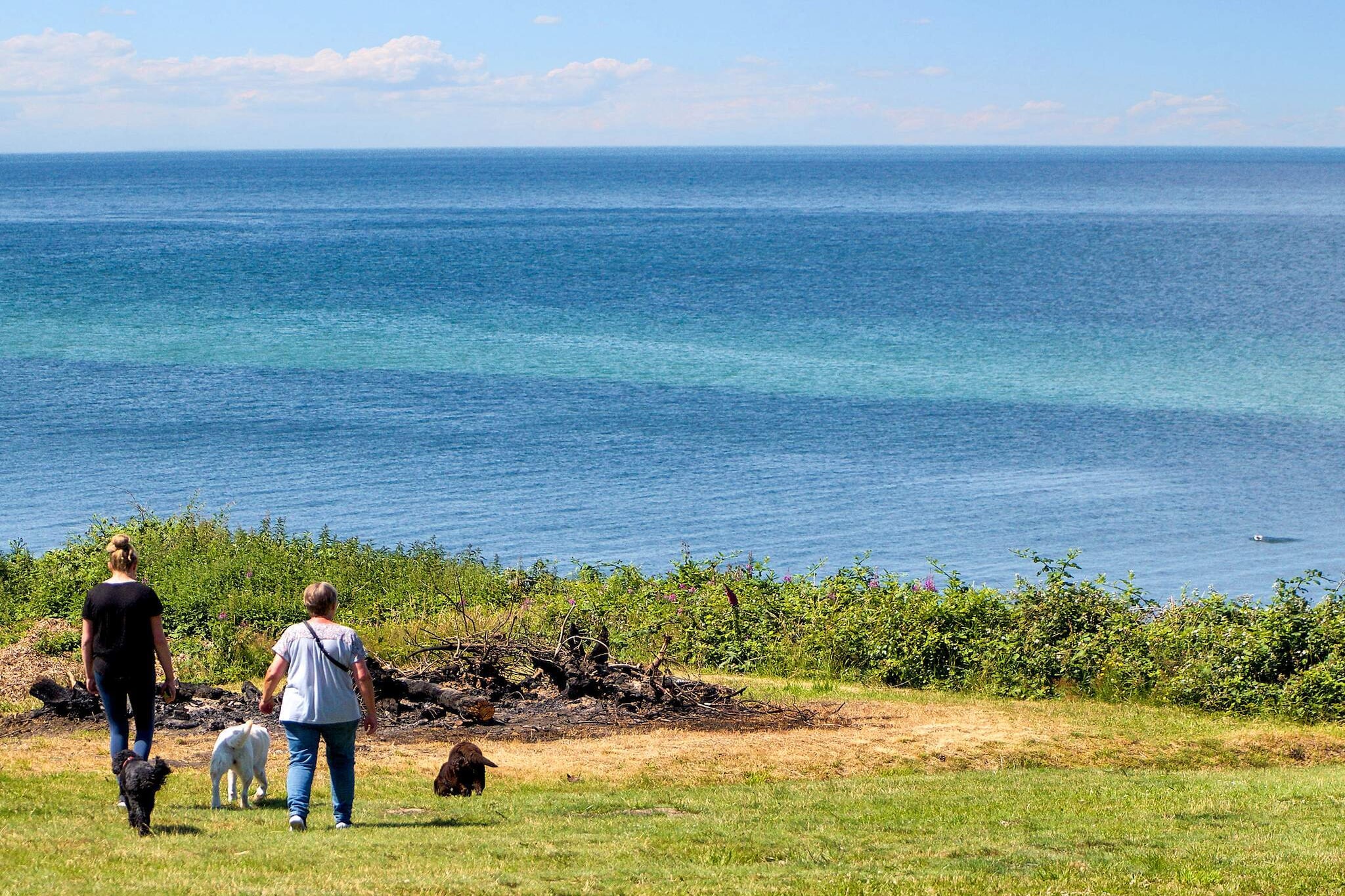 6 persoons vakantieparkhuis in Gilleleje-Waterzicht