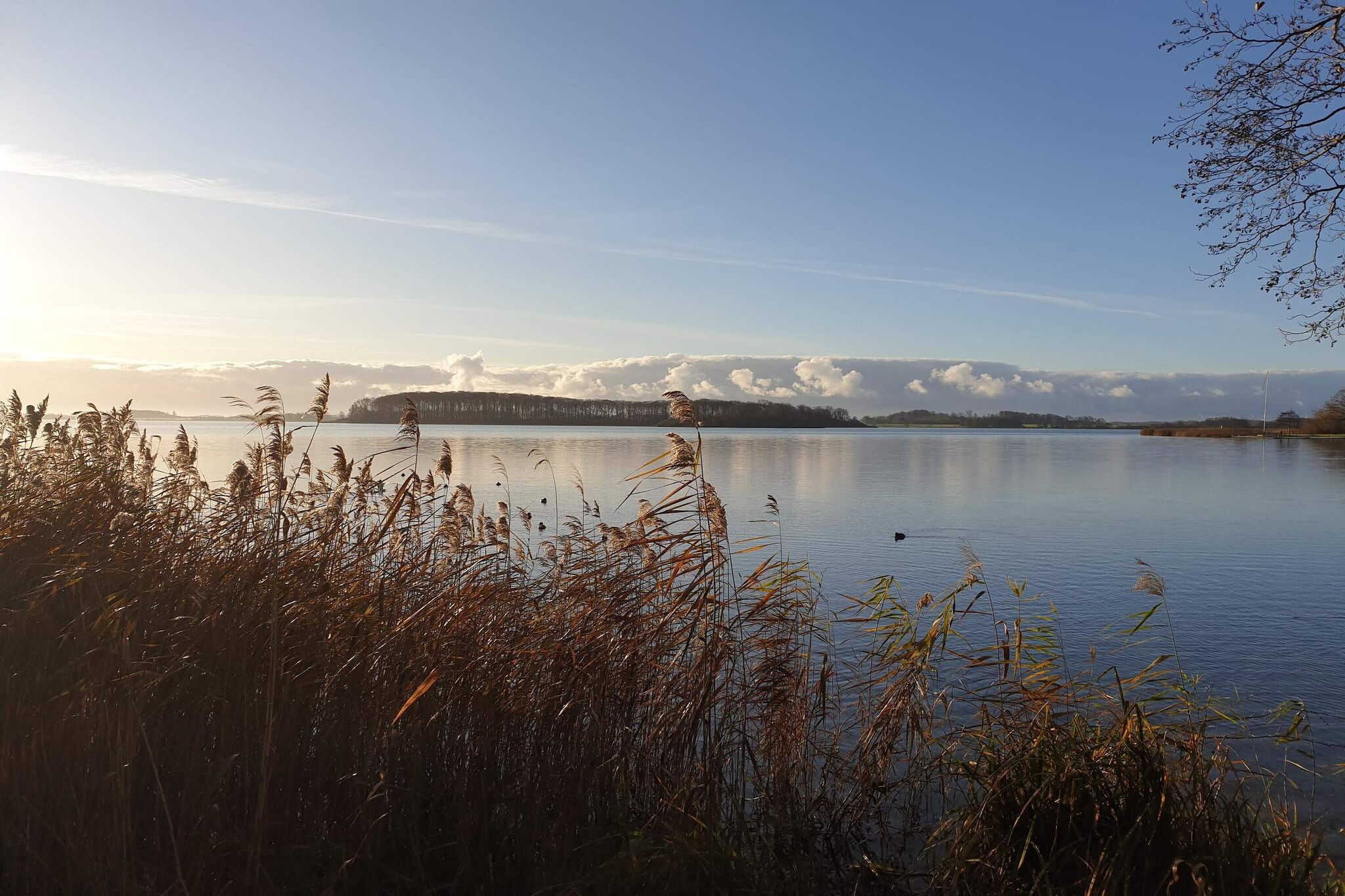 Water View
