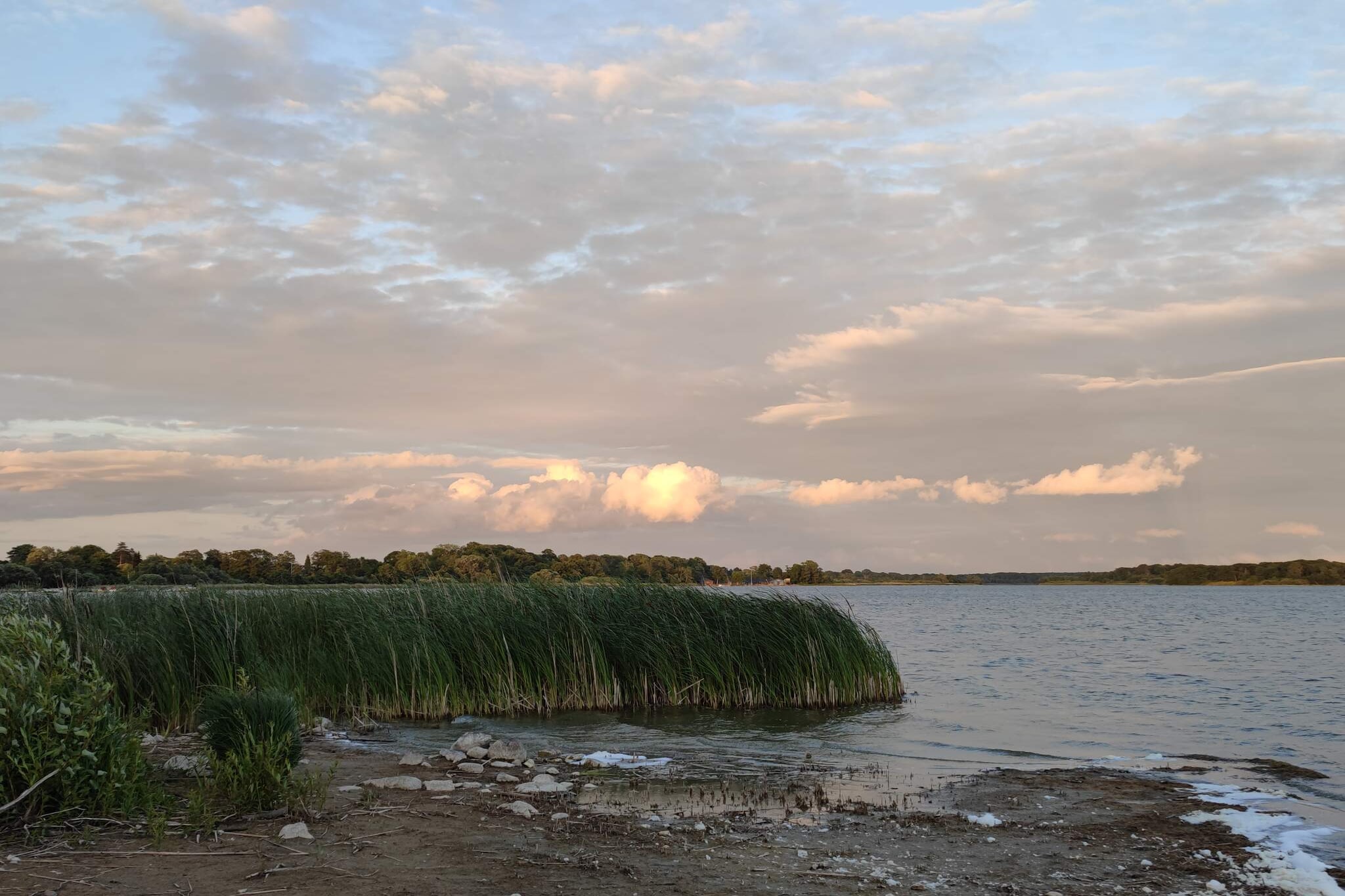 Water View