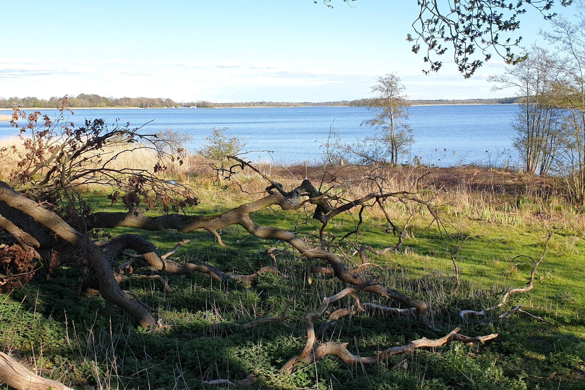 Water View