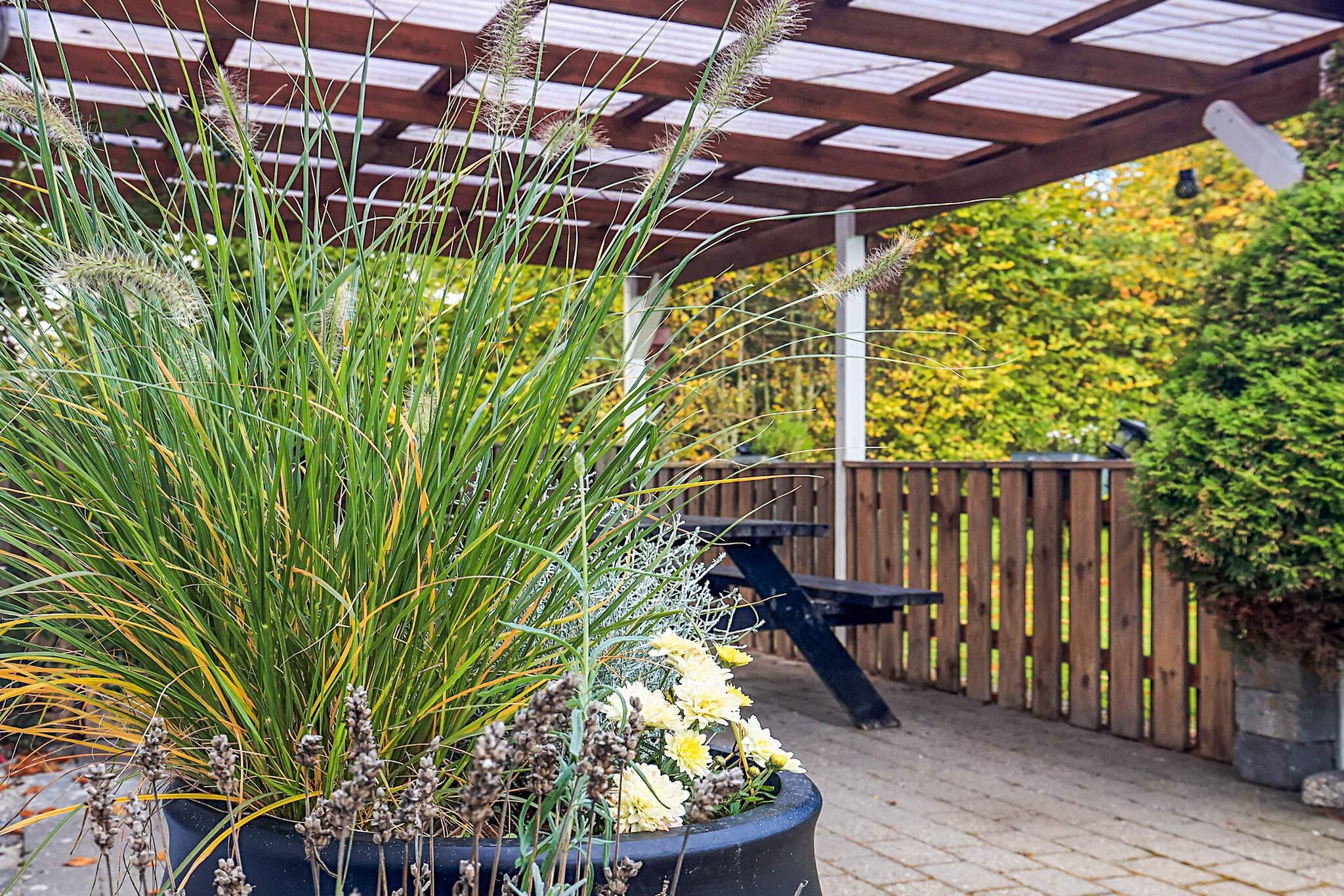 4 etoiles maison de vacances a Asaa-Vue