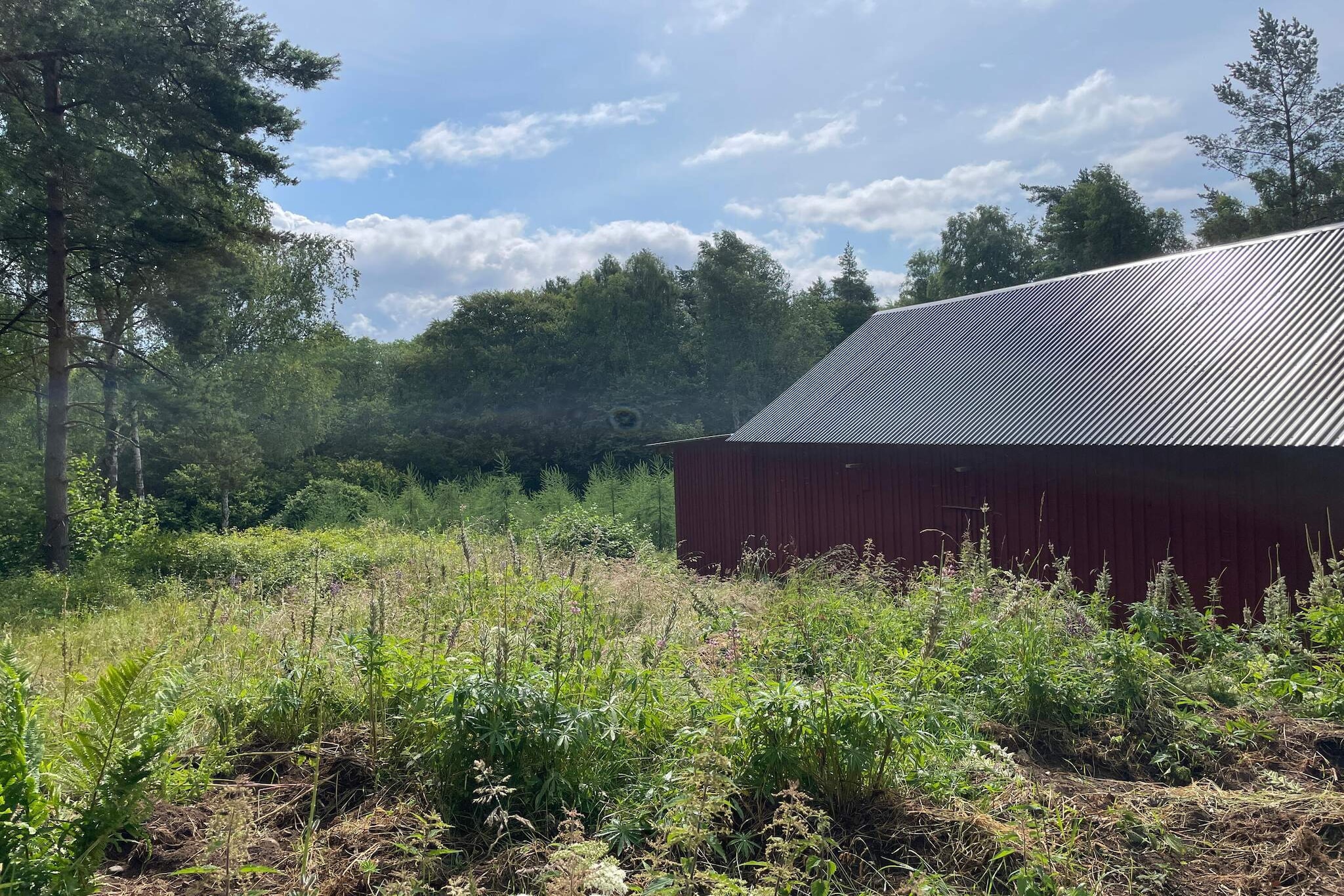 Maison de vacances pour 4 a ARKELSTORP-Extérieur