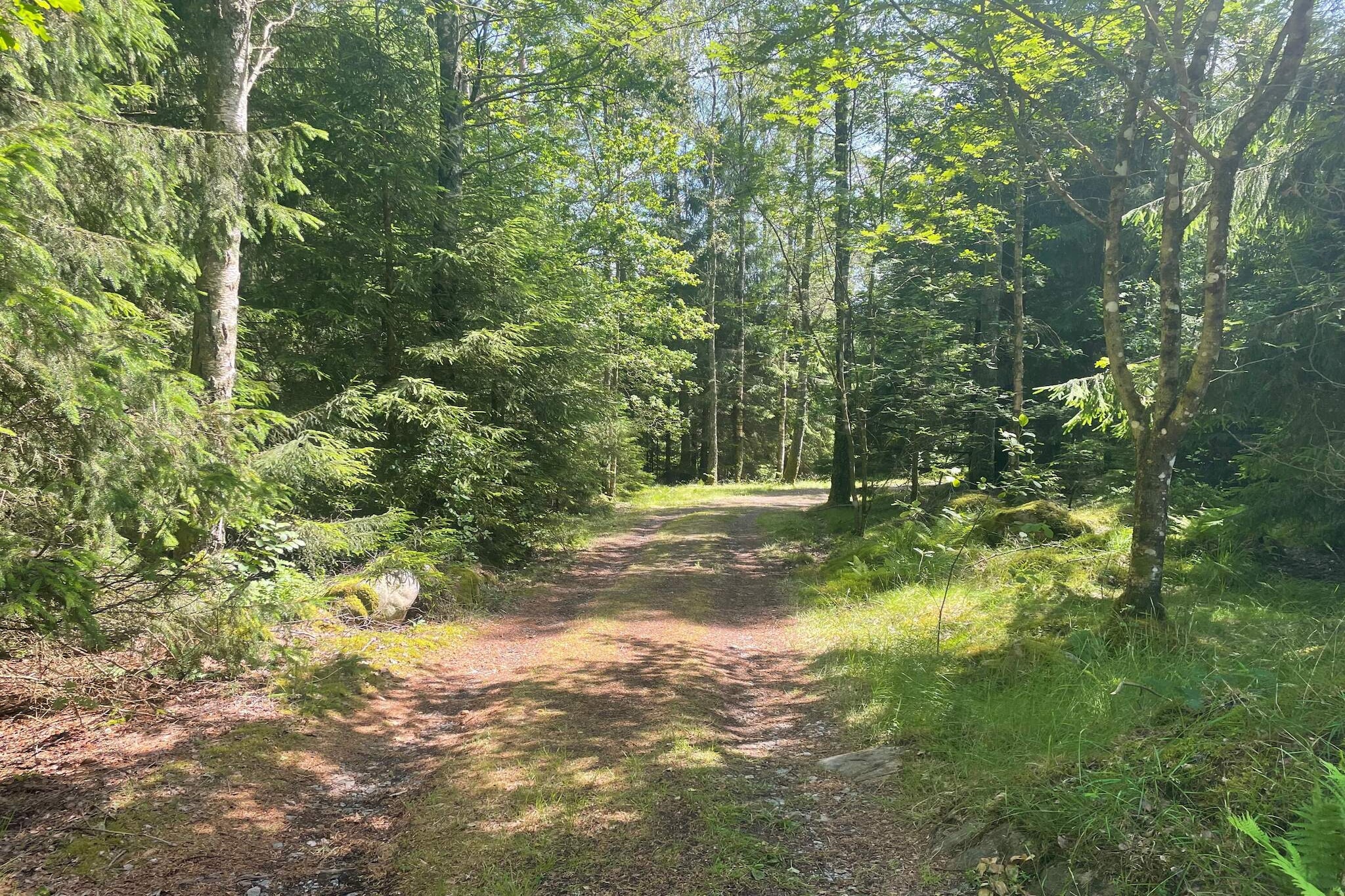 4 person holiday home in SpekerÃ¶d