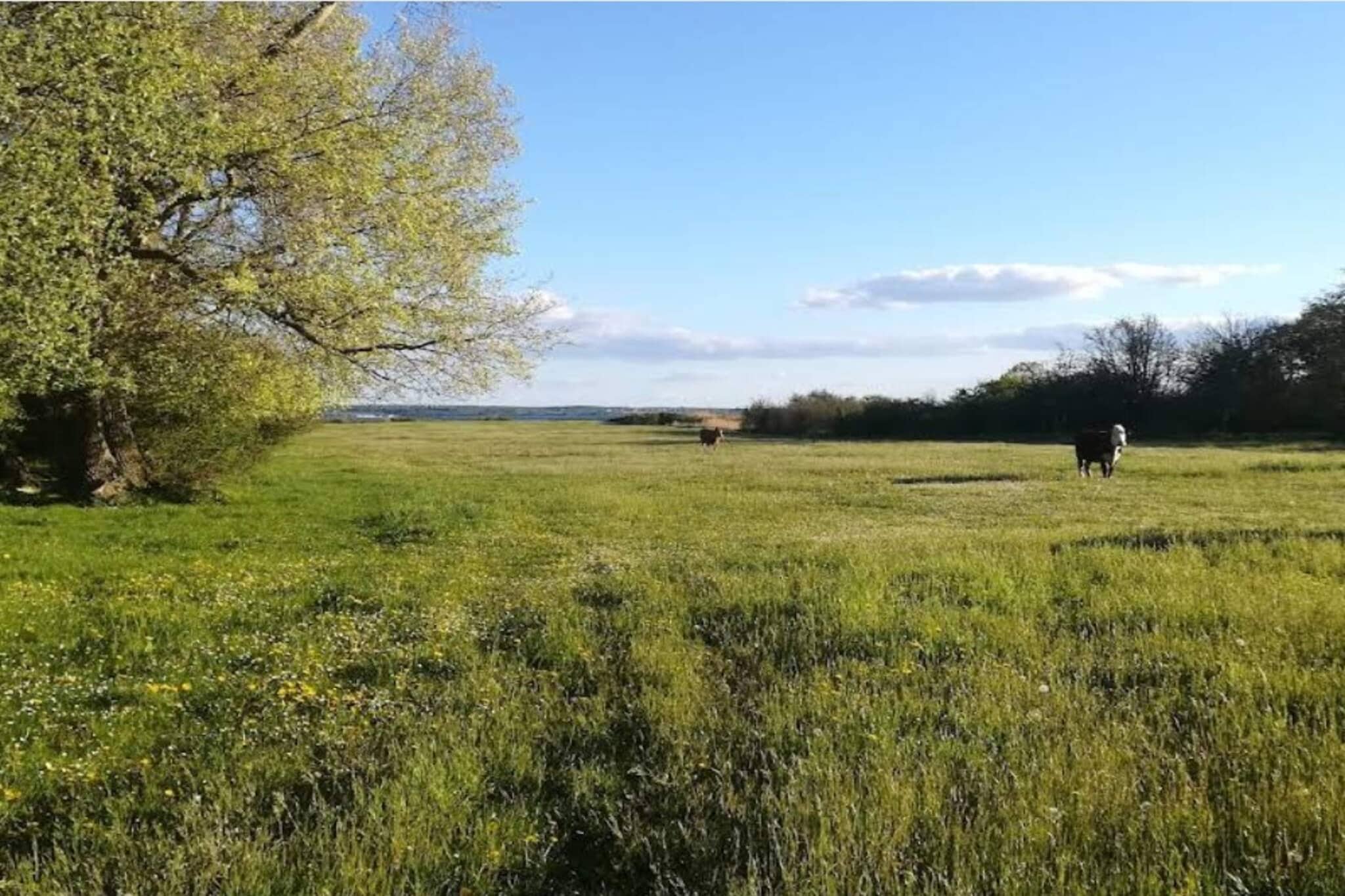 Internet Access DSL, Living room(TV, cooker(electric), coffee machine, microwave, dishwasher, fridge-freezer, tumble dryer, washing machine, chromecast), Living room(2x single folding bed), Kitchen(cooker(2 ring stoves), coffee machine, oven, oven(mini)), Living/bed room(TV, chromecast), Living/bed room(TV, chromecast), bedroom(2x single bed, double bed), bedroom(single folding bed), bedroom(single folding bed), bedroom(2x single bed), bedroom(2x single bed, double bed), bedroom(2x single bed), bedroom(2x single bed), bedroom(2x single bed), bedroom(2x single bed), bathroom(washbasin, shower, toilet), bathroom(washbasin, shower, toilet), bathroom(washbasin, shower, toilet), heating(central), terrace, garden, garden furniture, garden furniture, deckchairs