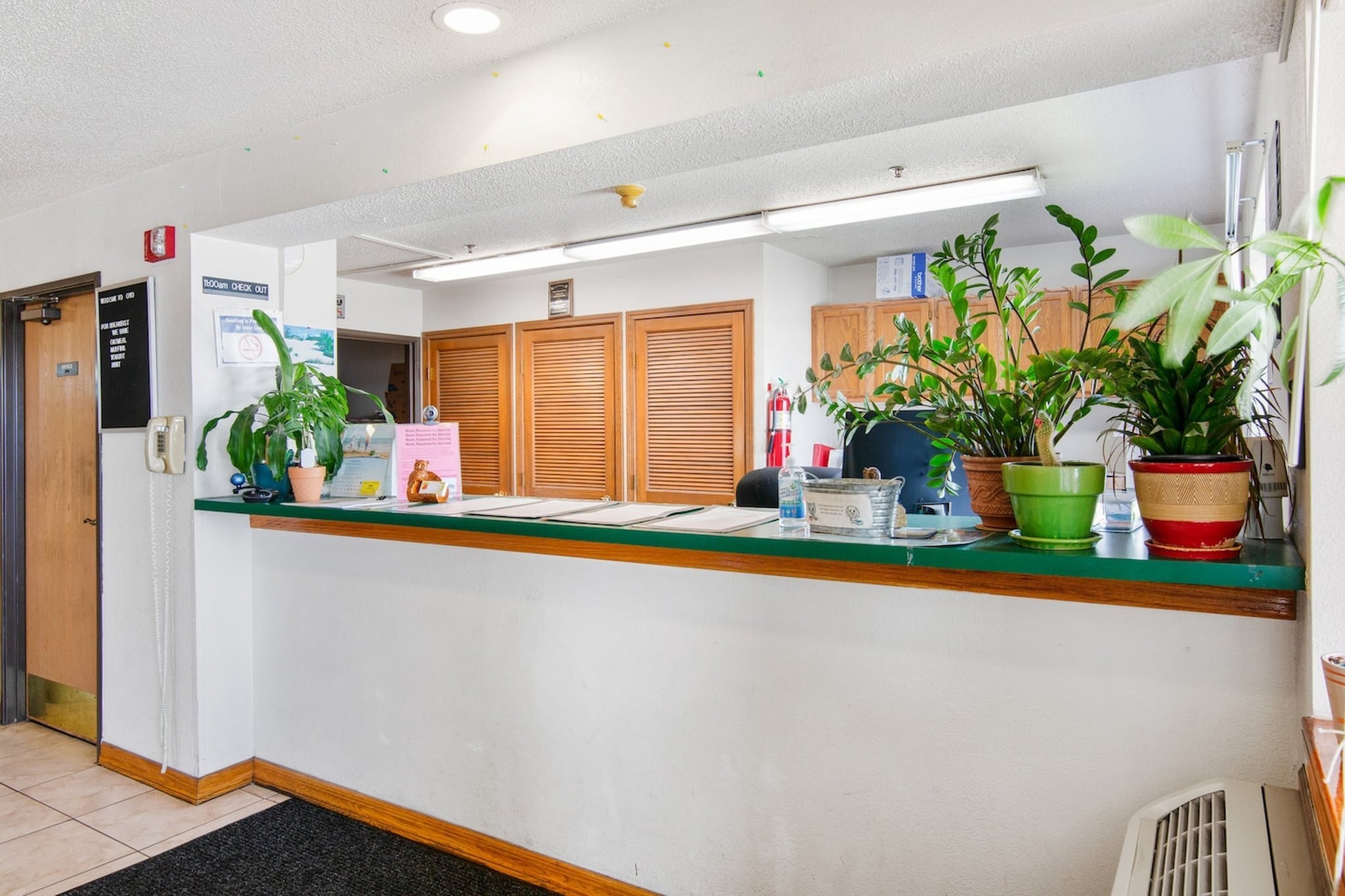 Hall Reception
